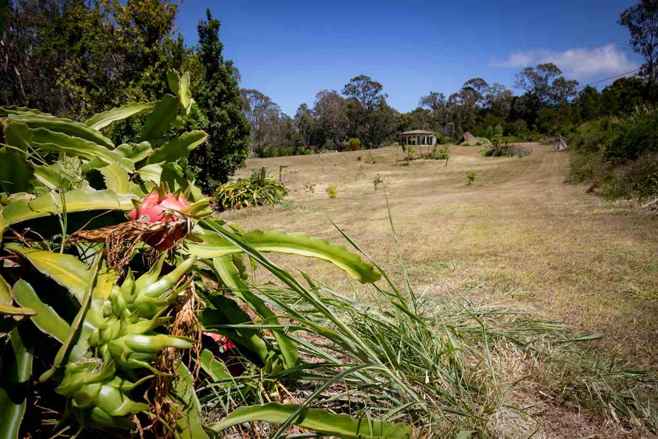 Photo 5 of  645 Olinda Rd, Makawao/Olinda/Haliimaile, Maui, Hawaii