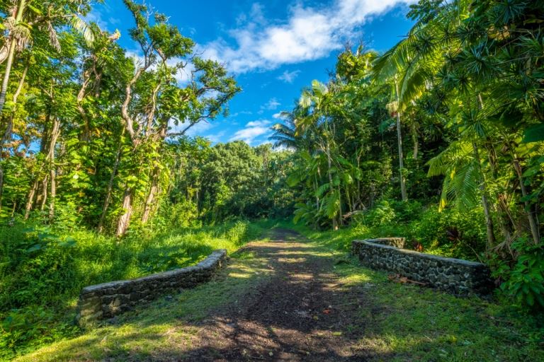 Hana Land Sold 836 Nahiku Rd, Maui, Hawaii MLS 389210