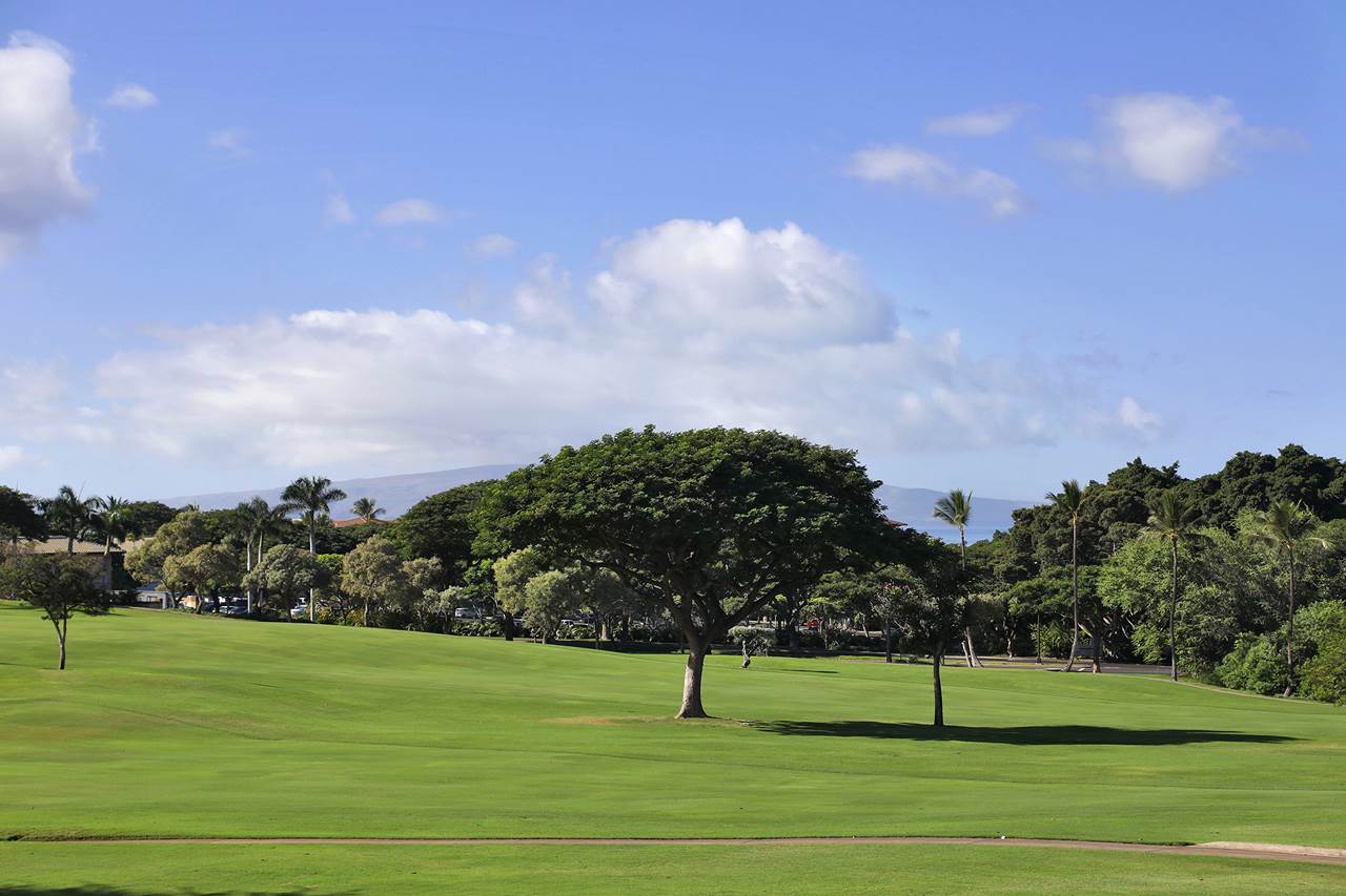 Wailea/Makena Condo Pending Sale: Grand Champions Unit 151, Maui, Hawaii