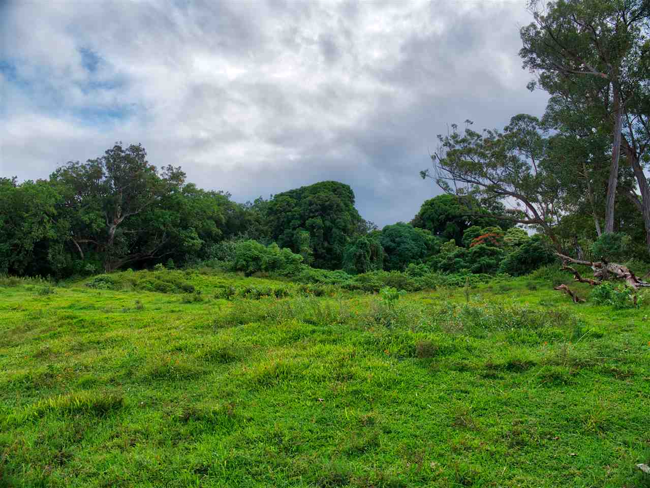 Photo 4 of  0 Lower Nahiku Old Rd, Nahiku, Maui, Hawaii