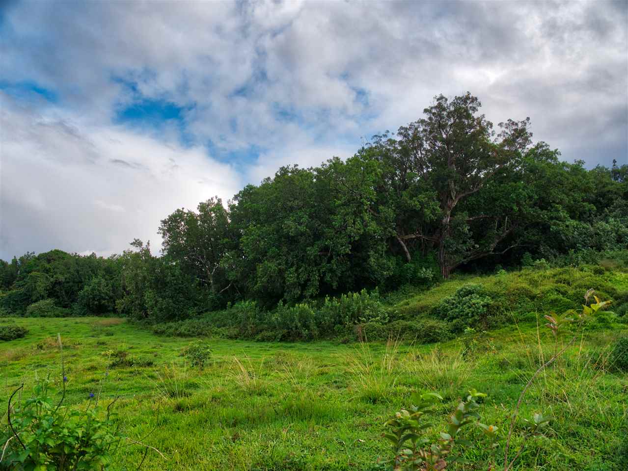 Photo 5 of  0 Lower Nahiku Old Rd, Nahiku, Maui, Hawaii
