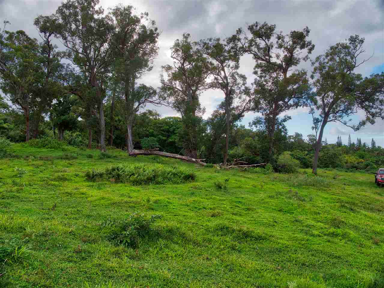 Photo 7 of  0 Lower Nahiku Old Rd, Nahiku, Maui, Hawaii