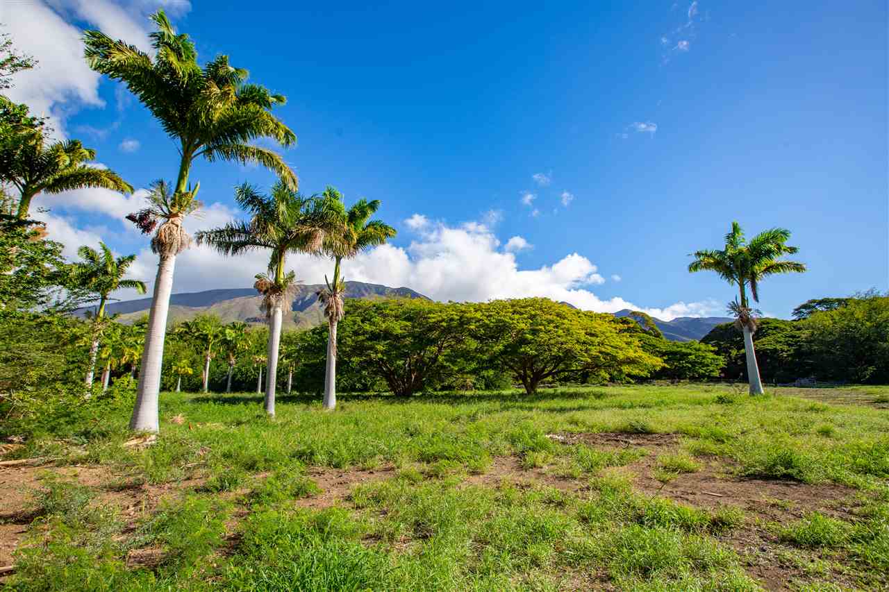 Olowalu Land Sold 11777 Honoapiilani Hwy, Maui, Hawaii MLS 390002