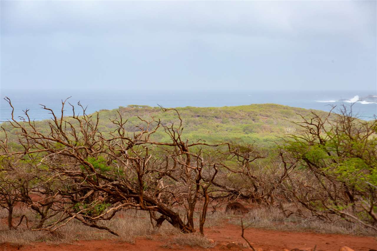 Photo 4 of  0 Ahiu Rd, Molokai, Maui, Hawaii