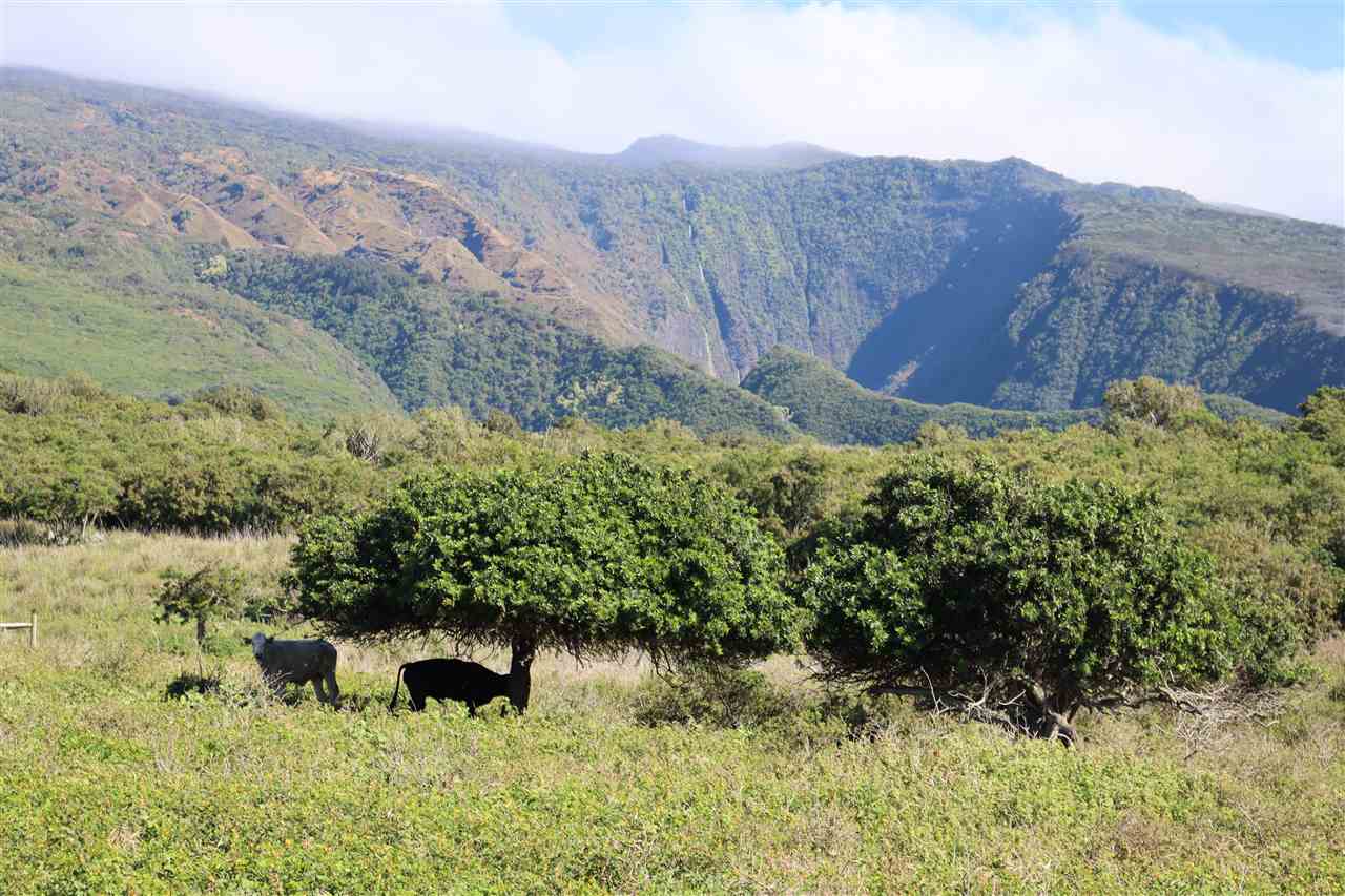 Photo 5 of  0 Piilani Hwy, Kaupo, Maui, Hawaii