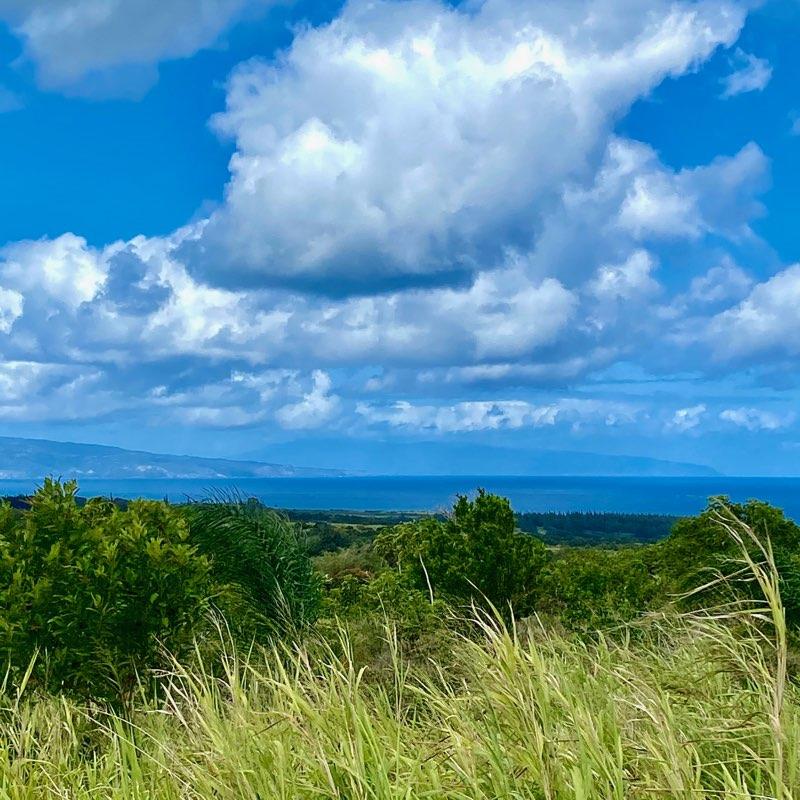 Photo 5 of  Lower Ulumalu Rd, Haiku, Maui, Hawaii