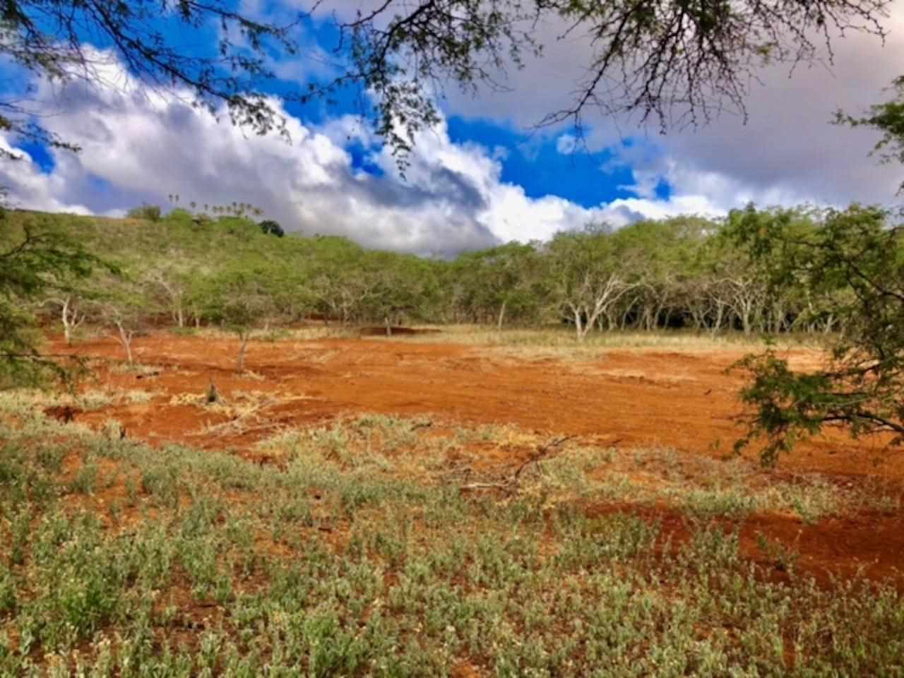 Photo 3 of  0 Noho Lio Rd, Molokai, Maui, Hawaii