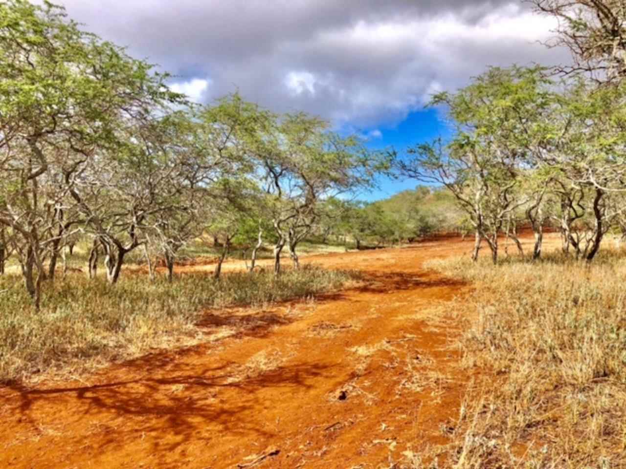 Photo 4 of  0 Noho Lio Rd, Molokai, Maui, Hawaii