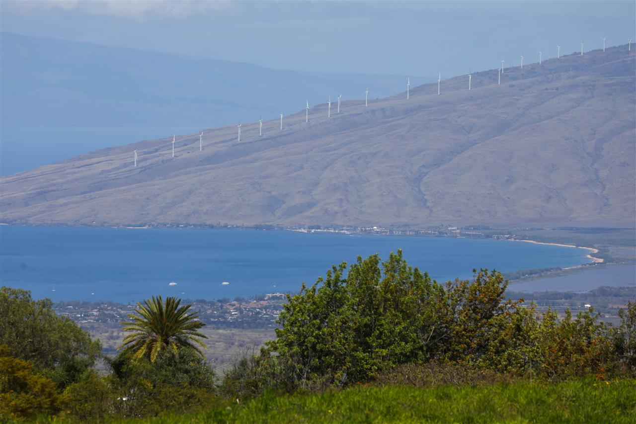 Photo of  650 Calasa Rd, Kula/Ulupalakua/Kanaio, Maui, Hawaii