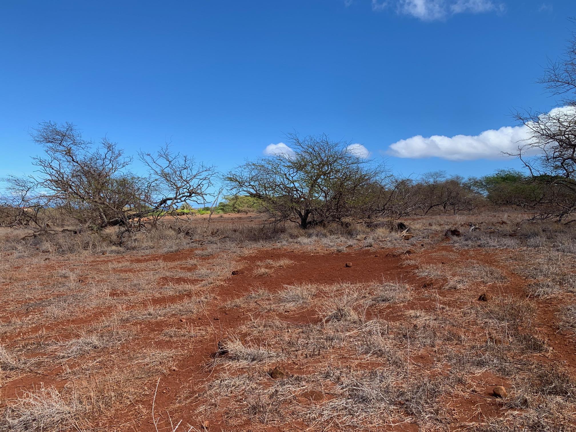 Photo 3 of  4040 Pohakuloa Rd, Molokai, Maui, Hawaii