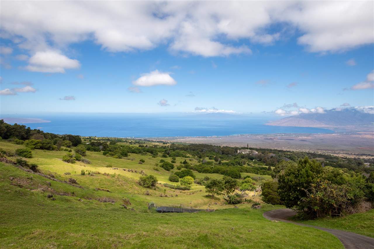 Photo of  Cross Rd, Kula/Ulupalakua/Kanaio, Maui, Hawaii