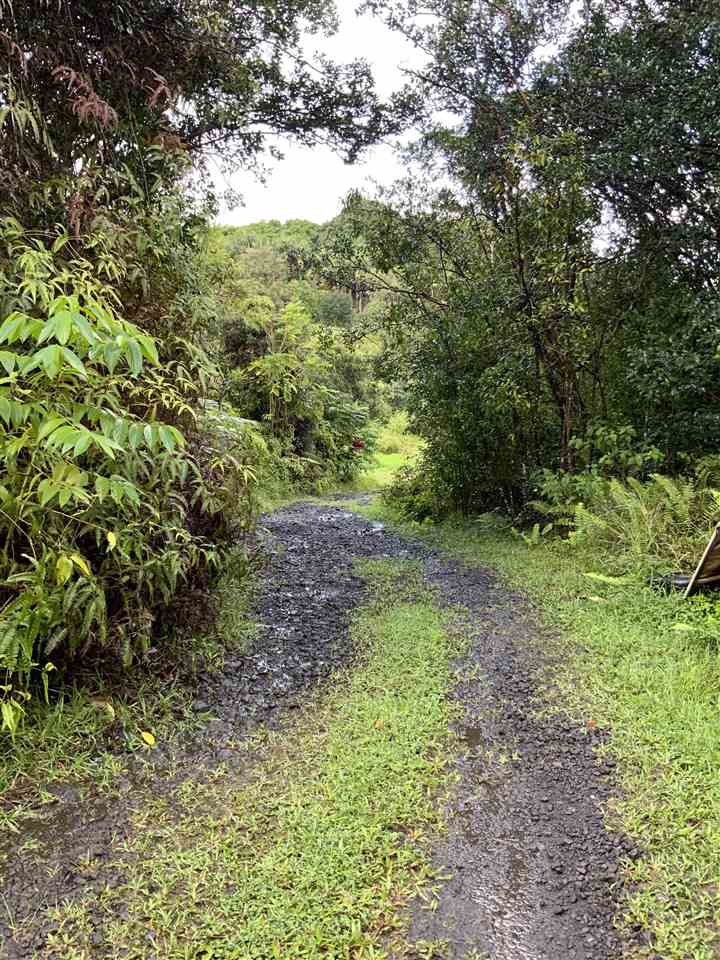 Photo 7 of  350 Hana Hwy, Nahiku, Maui, Hawaii