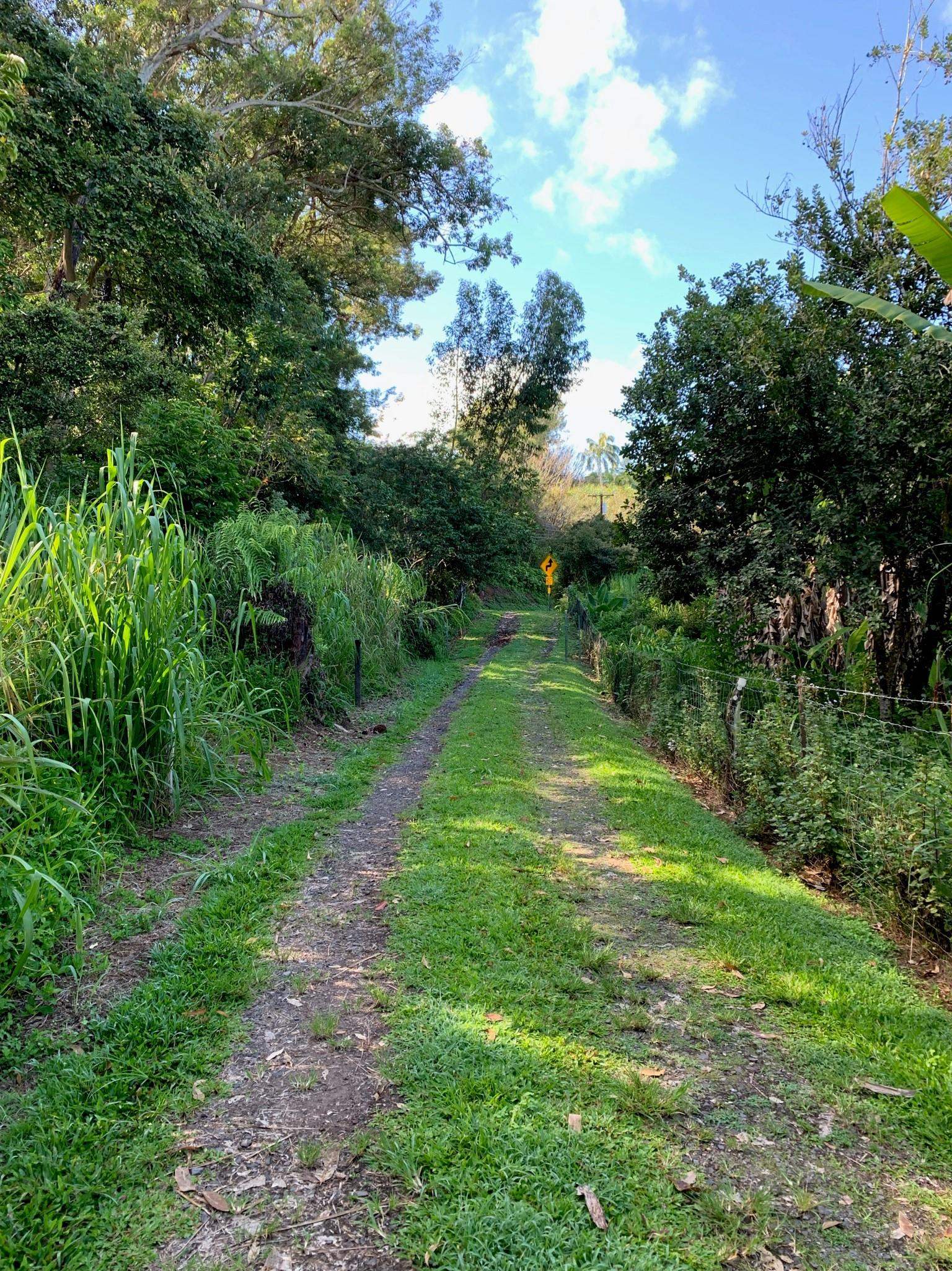 Photo 4 of  1034 Kaupakalua Rd, Haiku, Maui, Hawaii