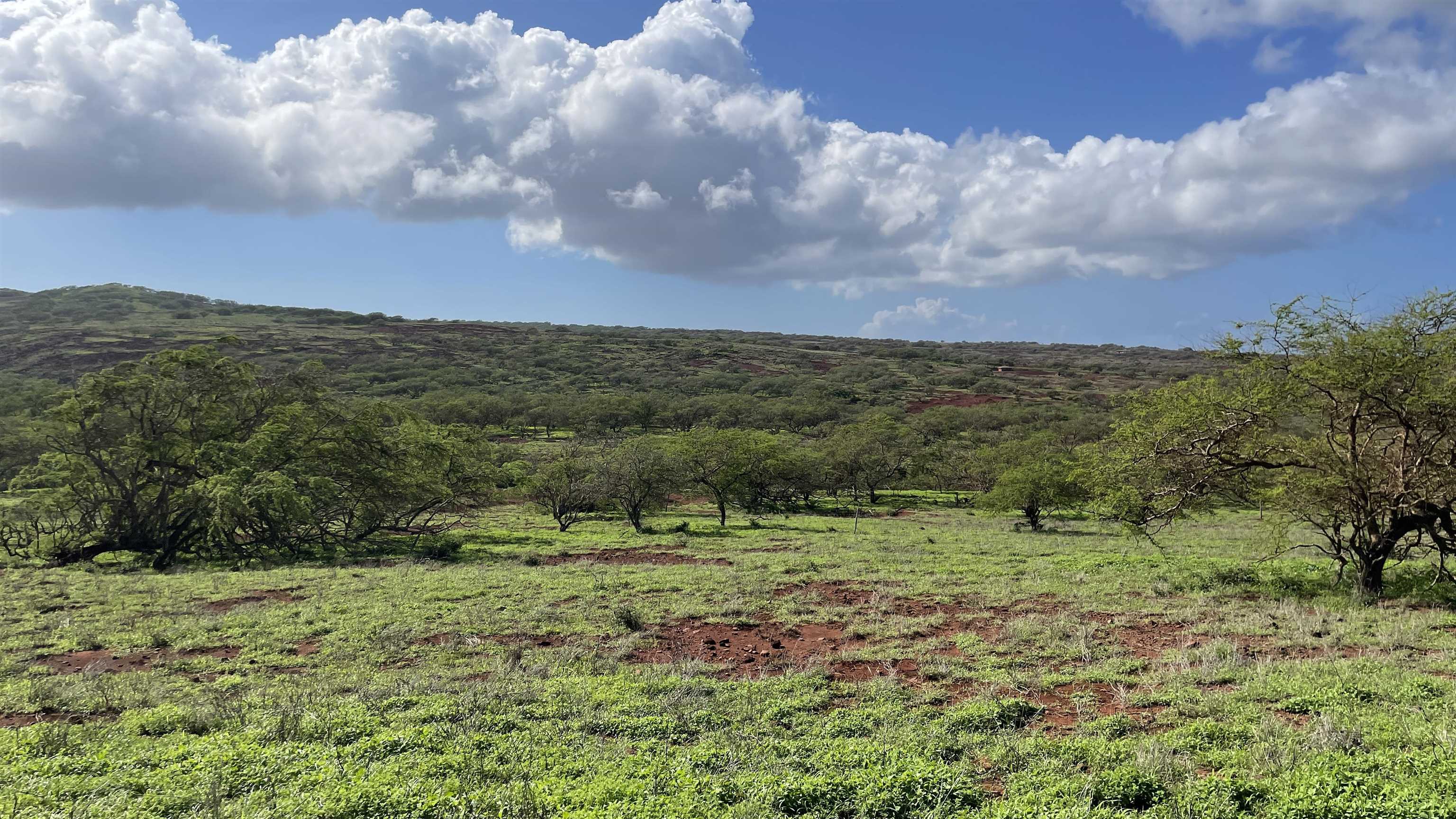 Photo 6 of  0 Pa Loa Loop, Molokai, Maui, Hawaii