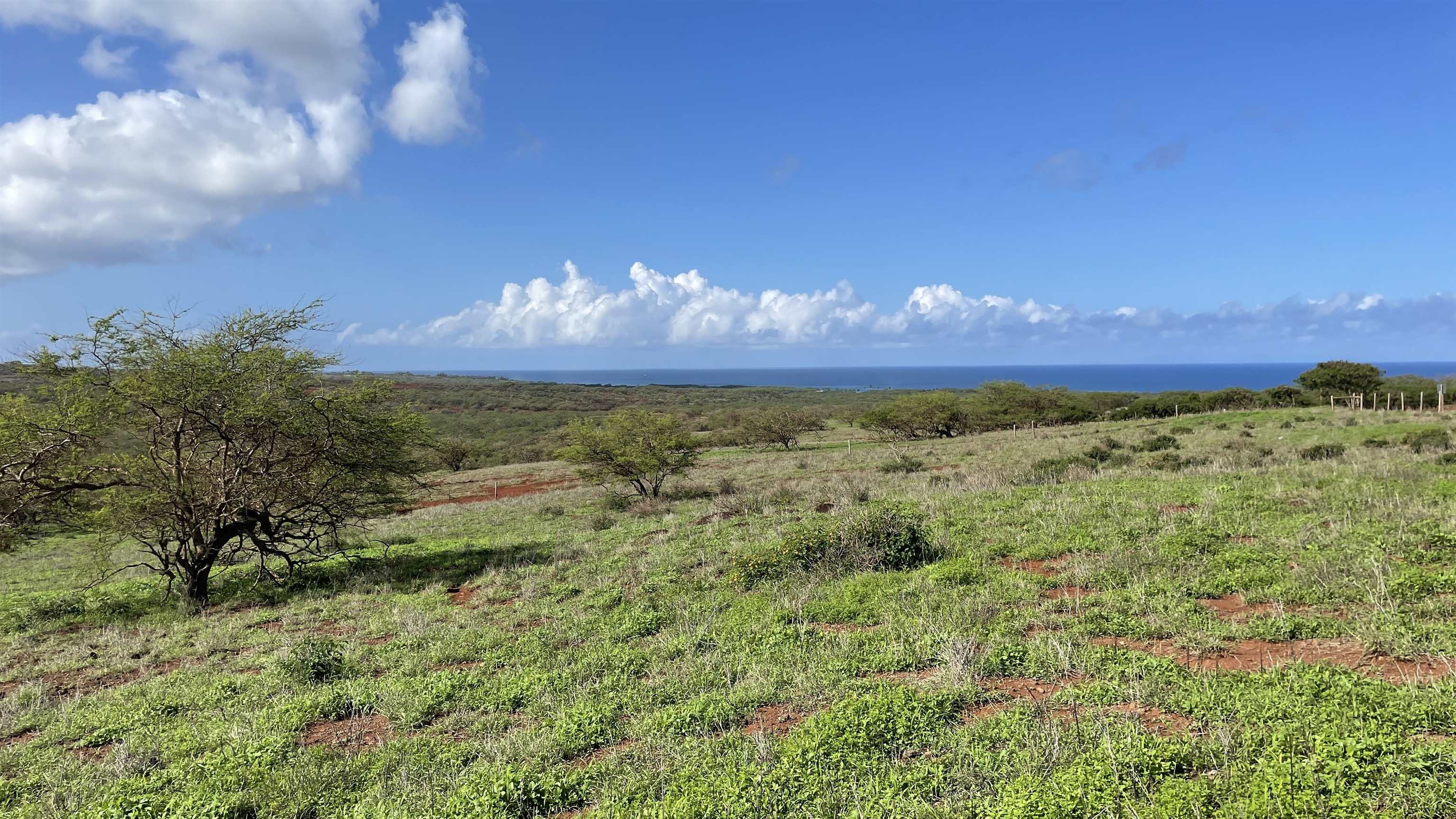 Photo 7 of  0 Pa Loa Loop, Molokai, Maui, Hawaii