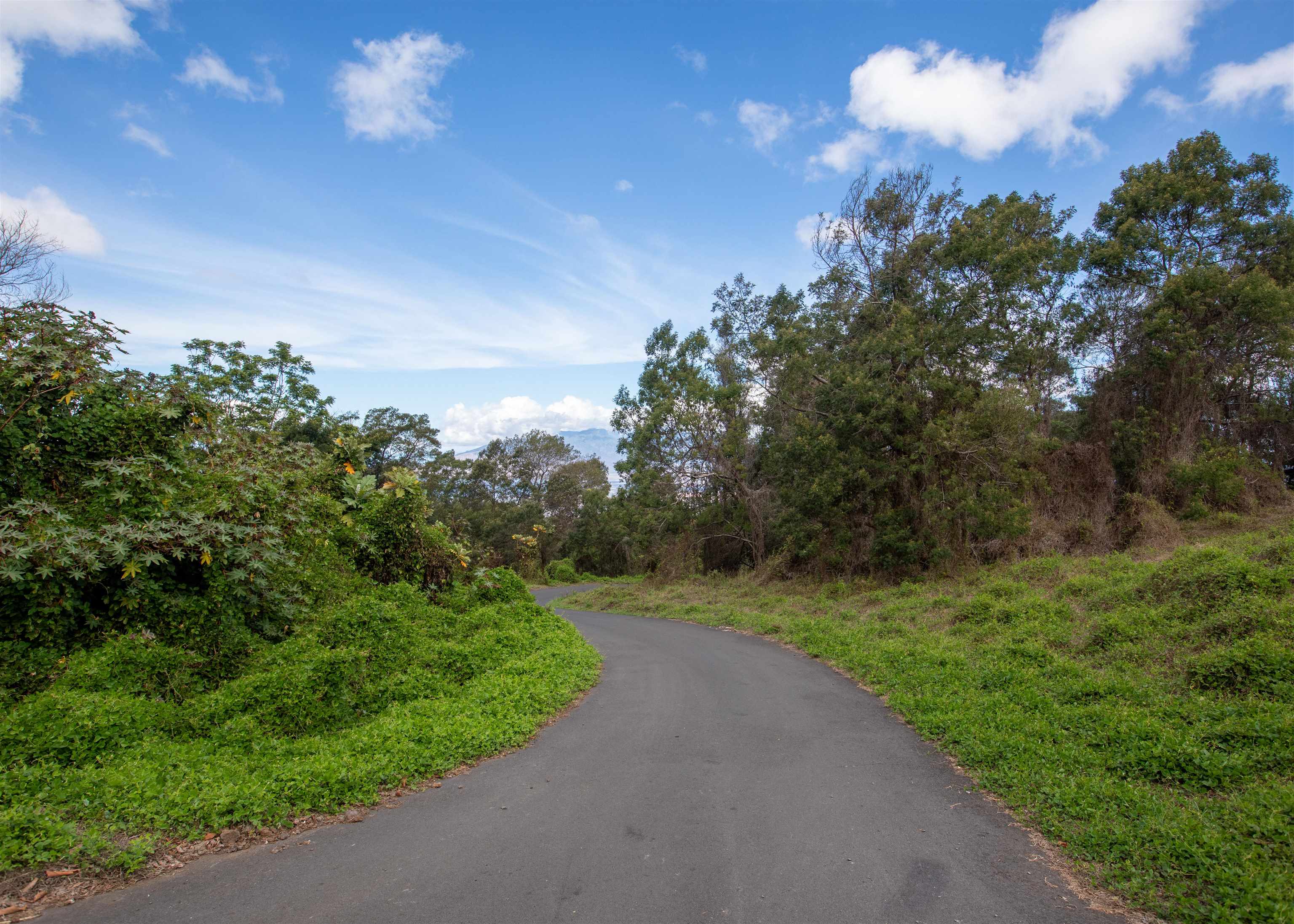 Photo of  9300 B Kula Hwy, Kula/Ulupalakua/Kanaio, Maui, Hawaii