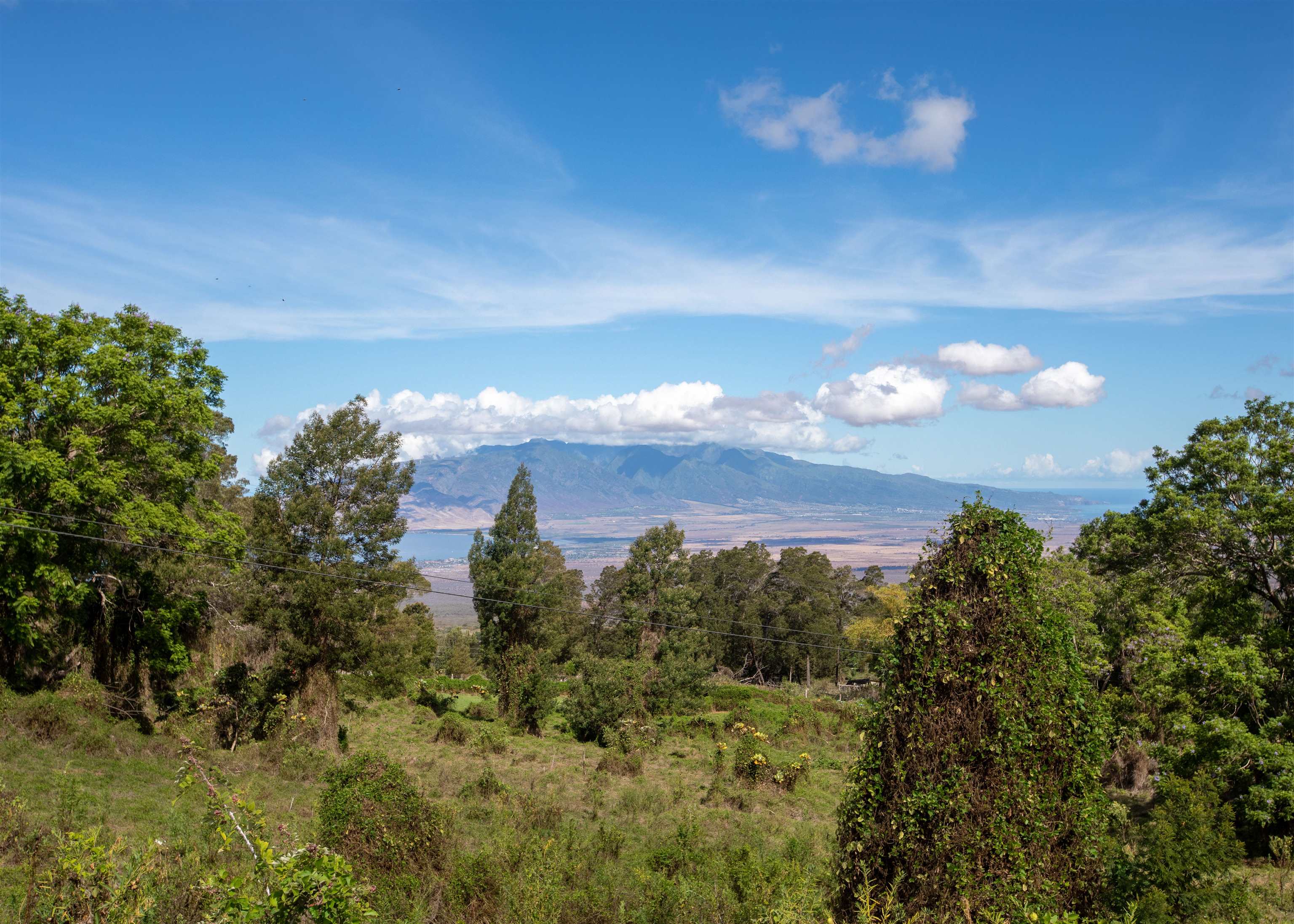 Photo 2 of  9300 B Kula Hwy, Kula/Ulupalakua/Kanaio, Maui, Hawaii