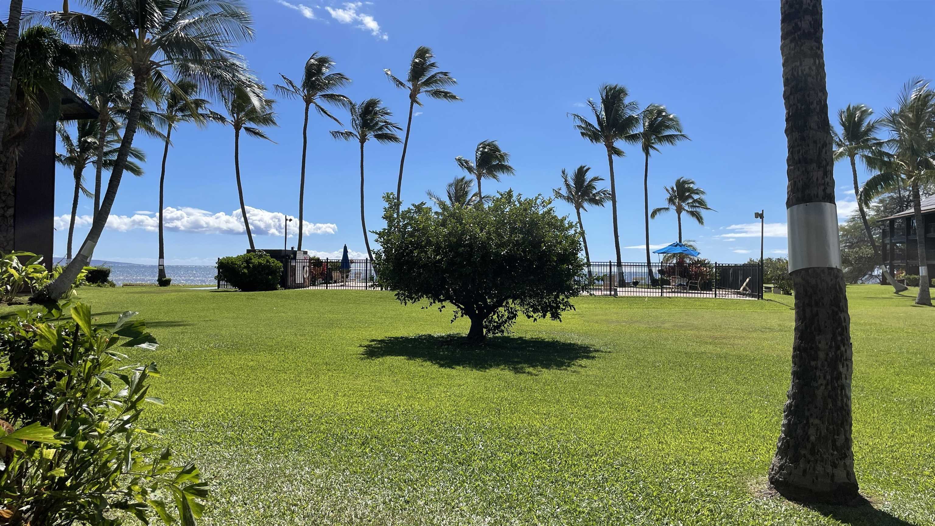 Photo of  1000 KAMEHAMEHA V Hwy, Molokai, Maui, Hawaii