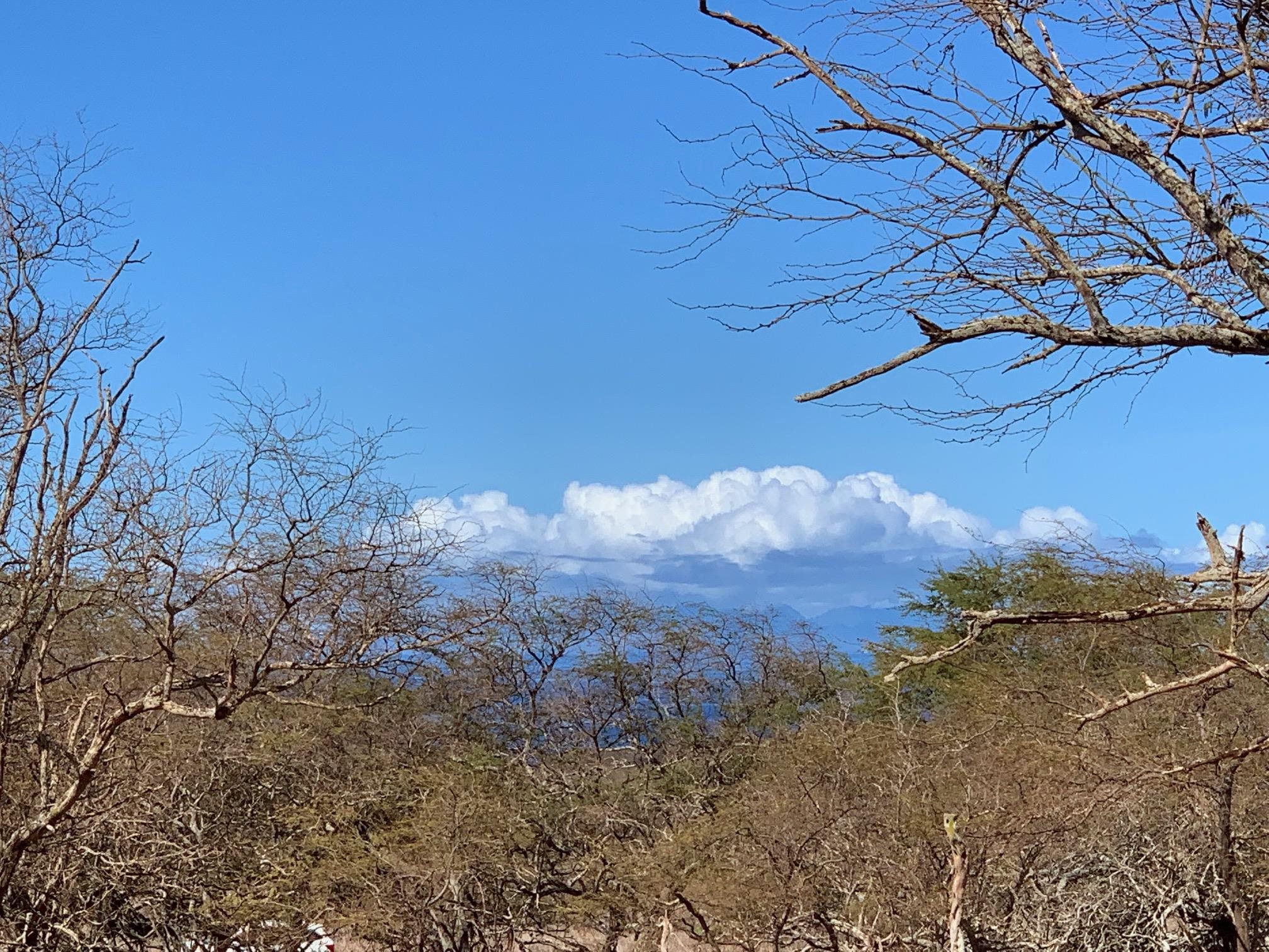 Photo of  0 Noho Lio Rd, Molokai, Maui, Hawaii