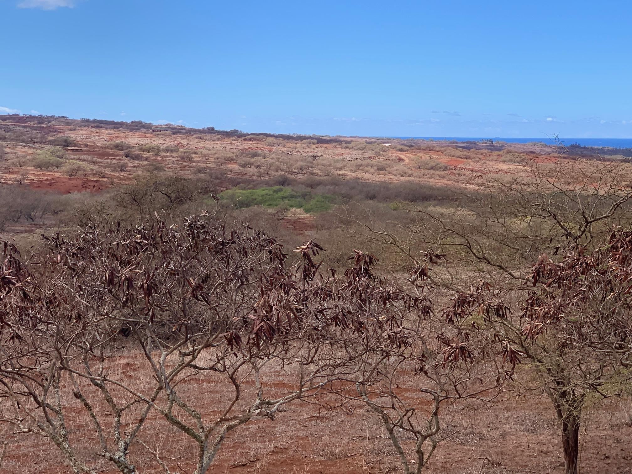 Photo 2 of  0 Pa Loa Loop, Molokai, Maui, Hawaii