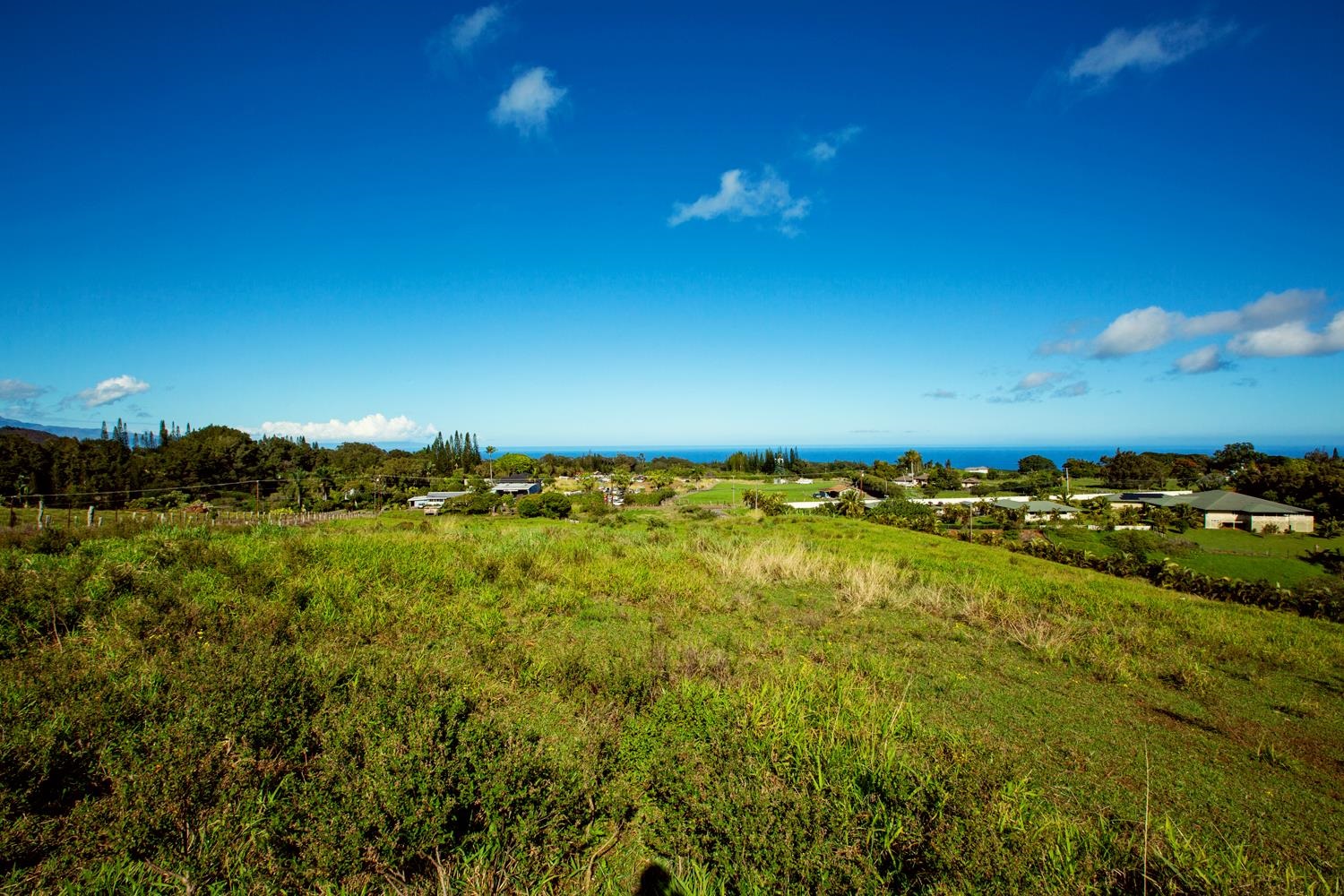 Photo of  1545 Kaupakalua Rd, Haiku, Maui, Hawaii