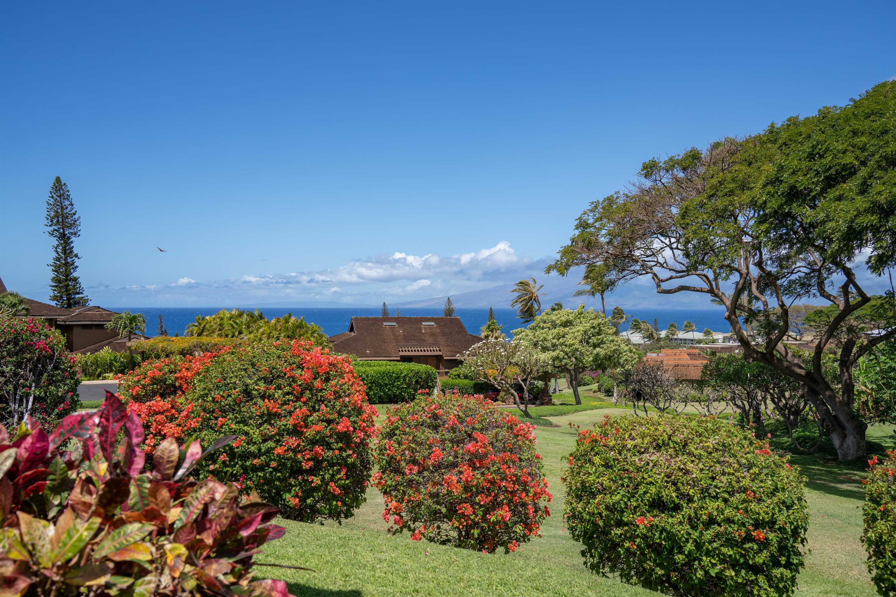 Photo of  50 Puu Anoano St, Kaanapali, Maui, Hawaii