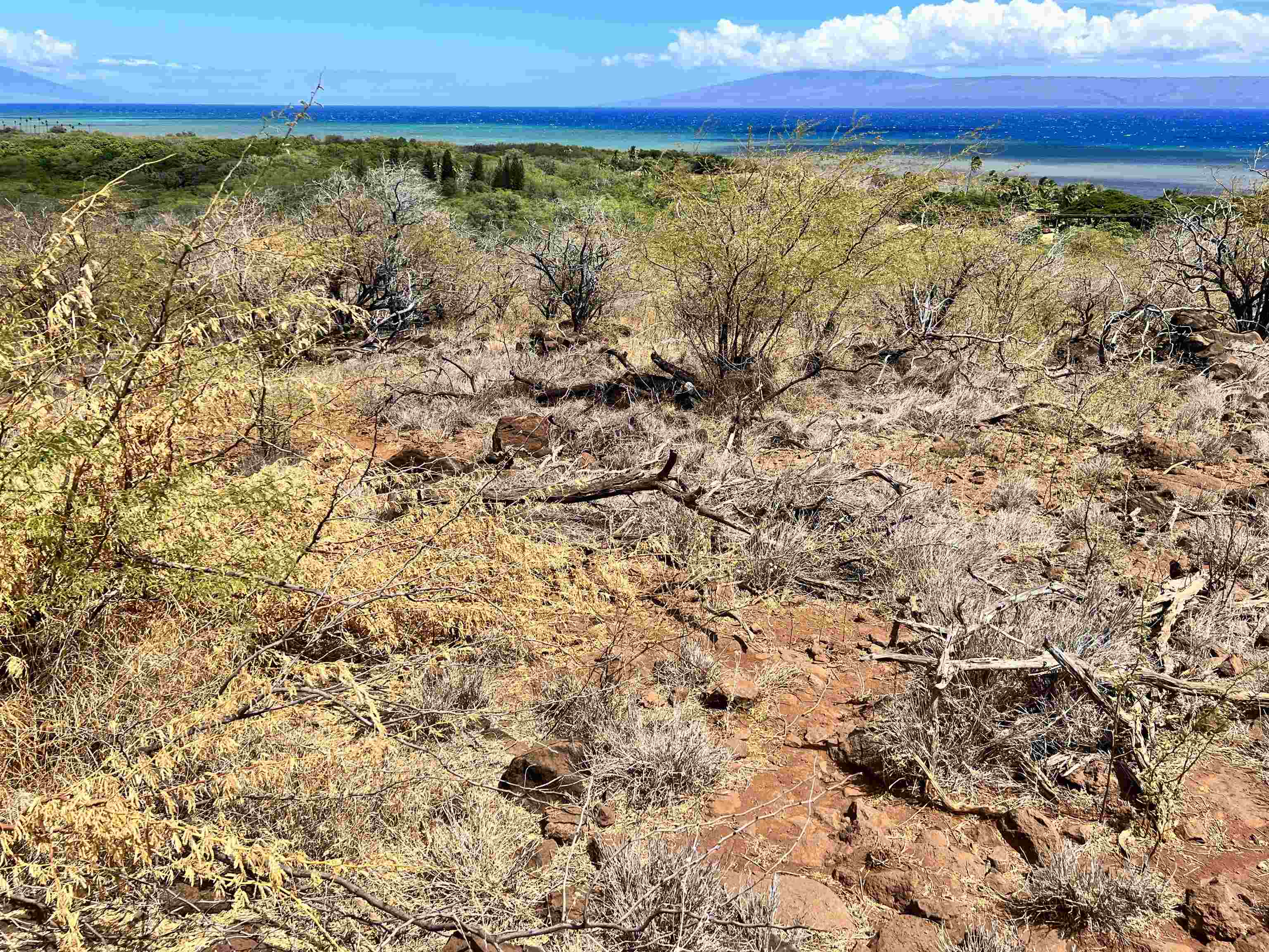 Photo 7 of  0 Ulua Rd, Molokai, Maui, Hawaii