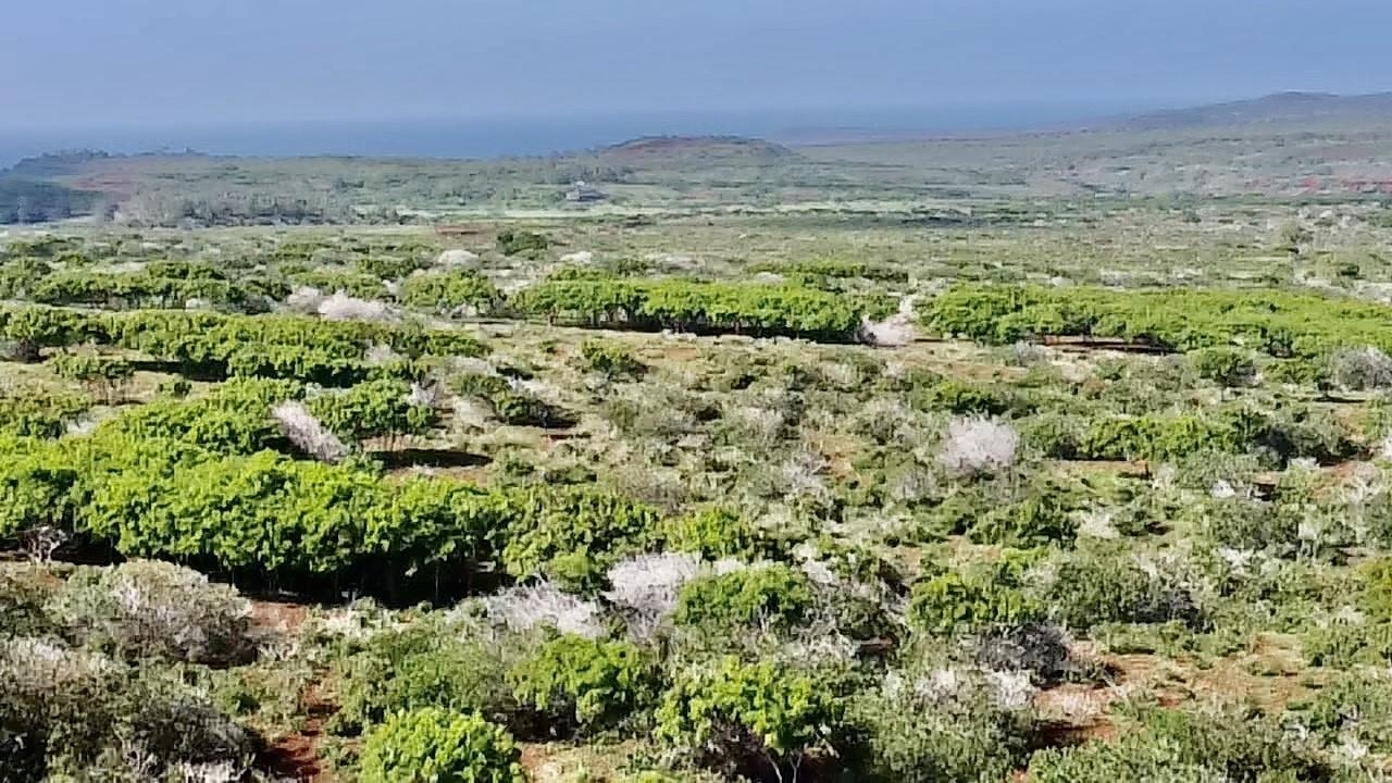 Photo of  0 Kalua Koi Rd, Molokai, Maui, Hawaii