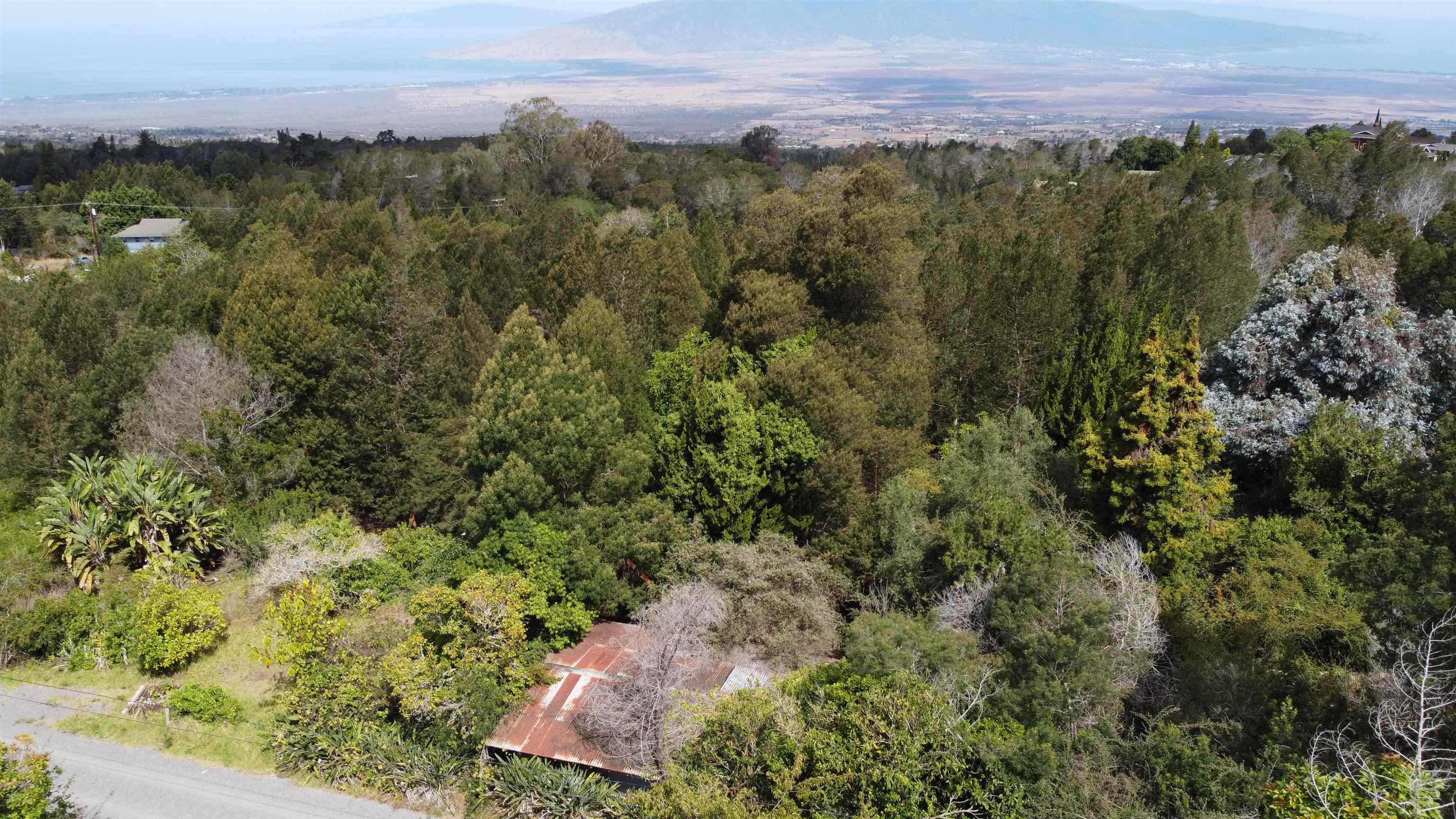 Photo of  Haleakala Hwy, Kula/Ulupalakua/Kanaio, Maui, Hawaii