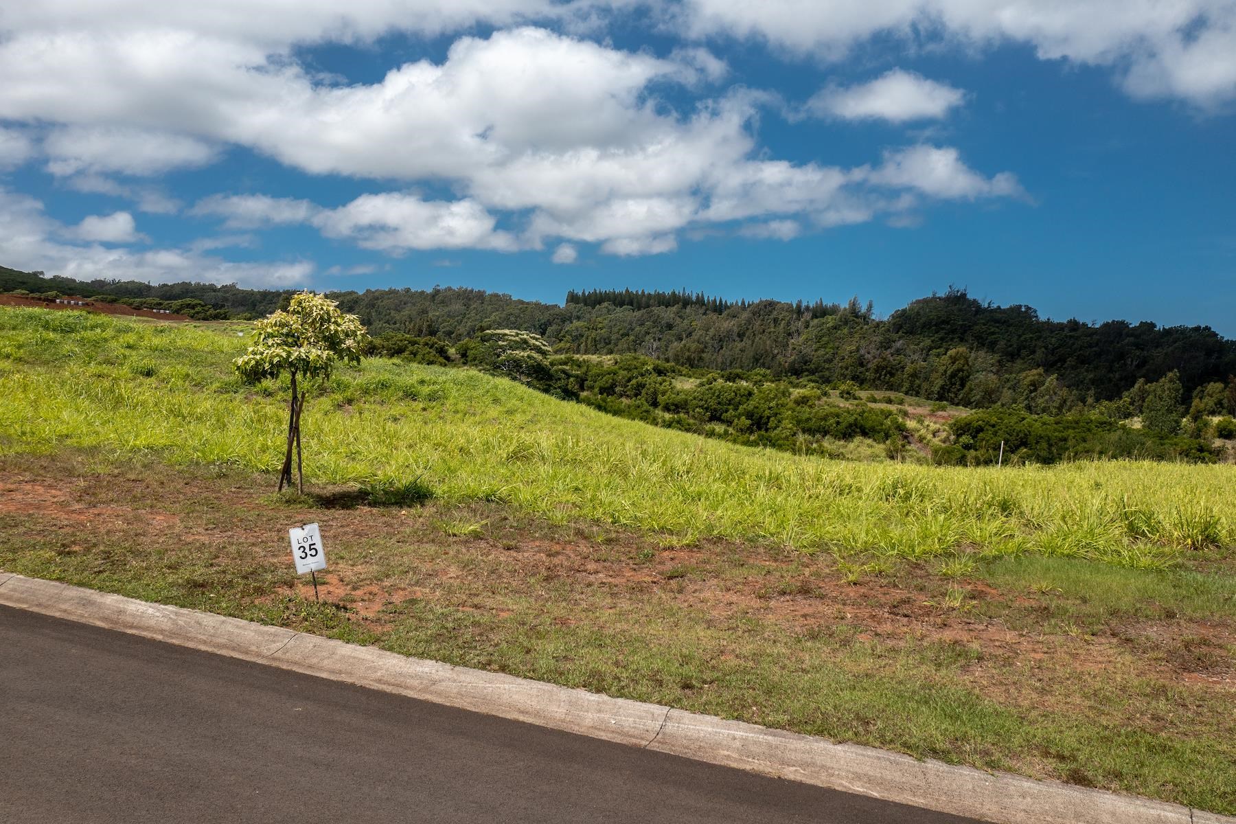 Photo 2 of  600 Mahana Ridge St, Kapalua, Maui, Hawaii