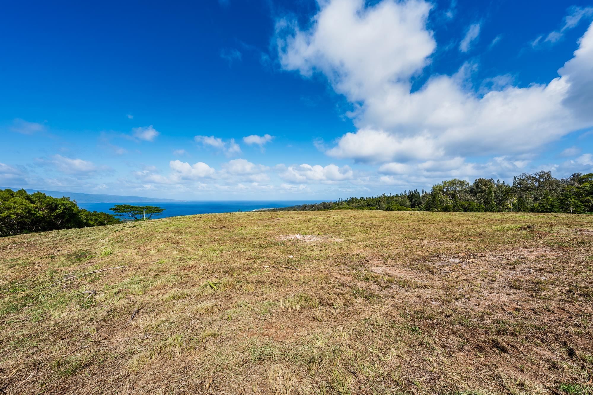 Kapalua Land For Sale 830 Mahana Ridge Pl, Maui, Hawaii MLS 400893