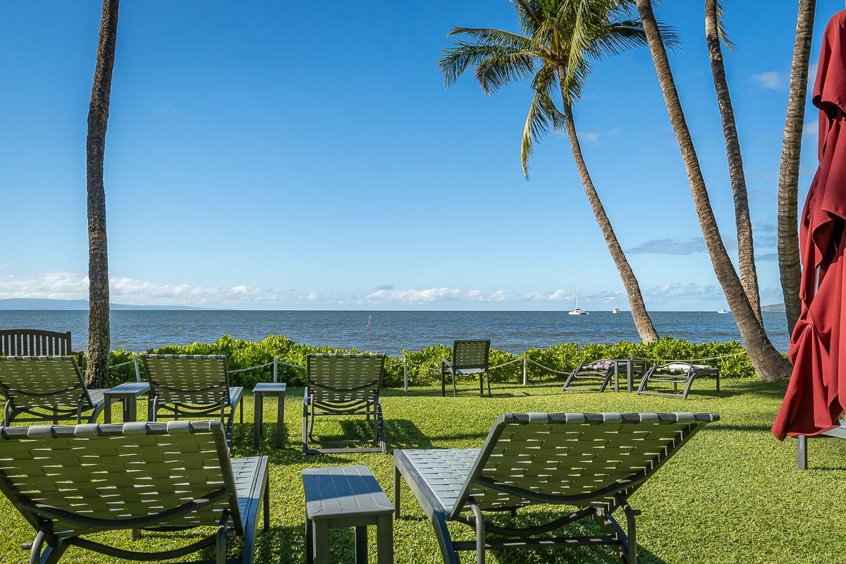 Maui Property Image