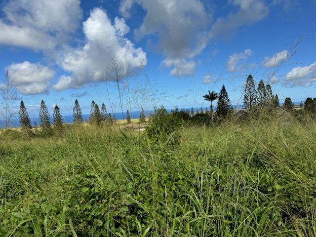 Maui Property Image