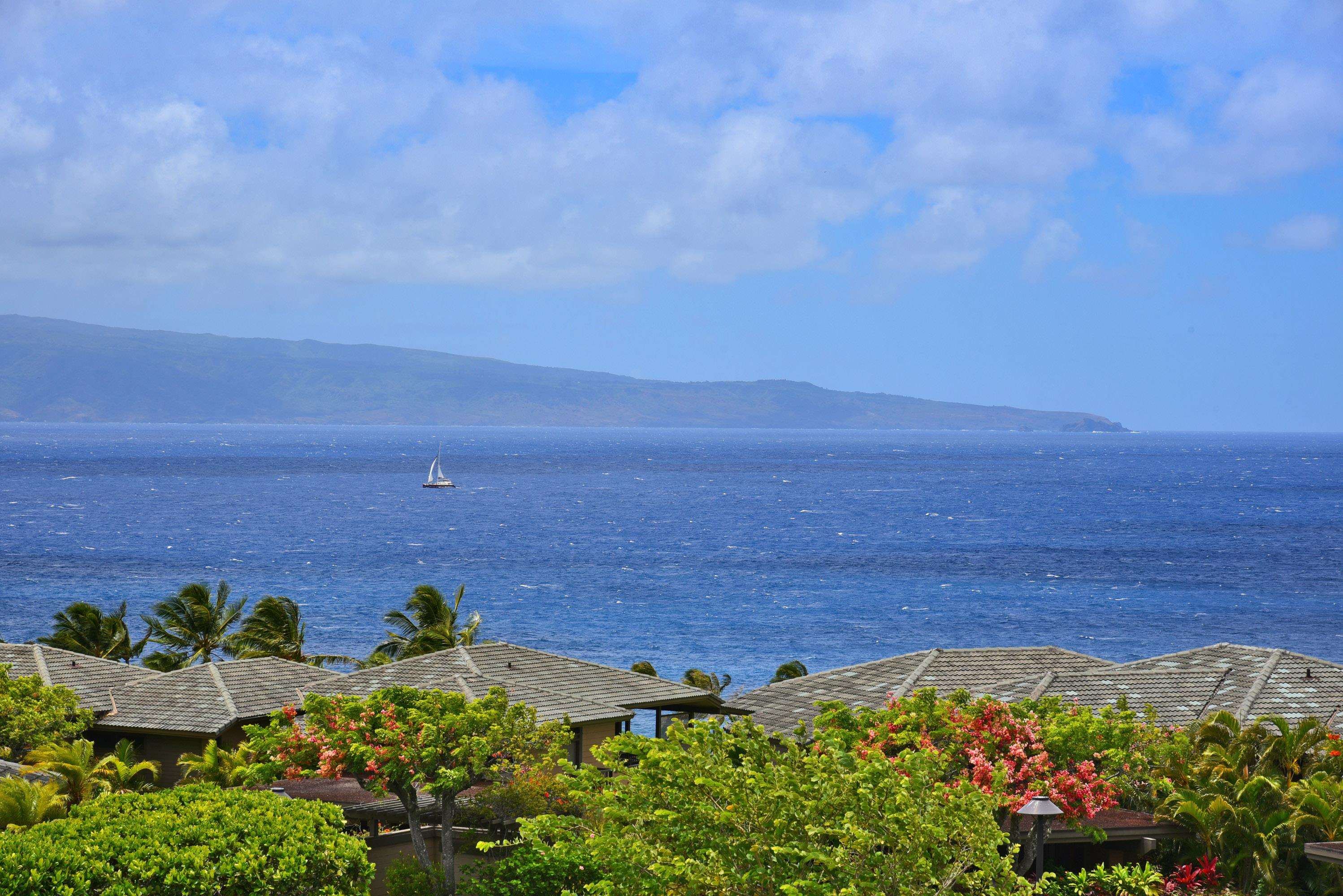 Maui Property Image