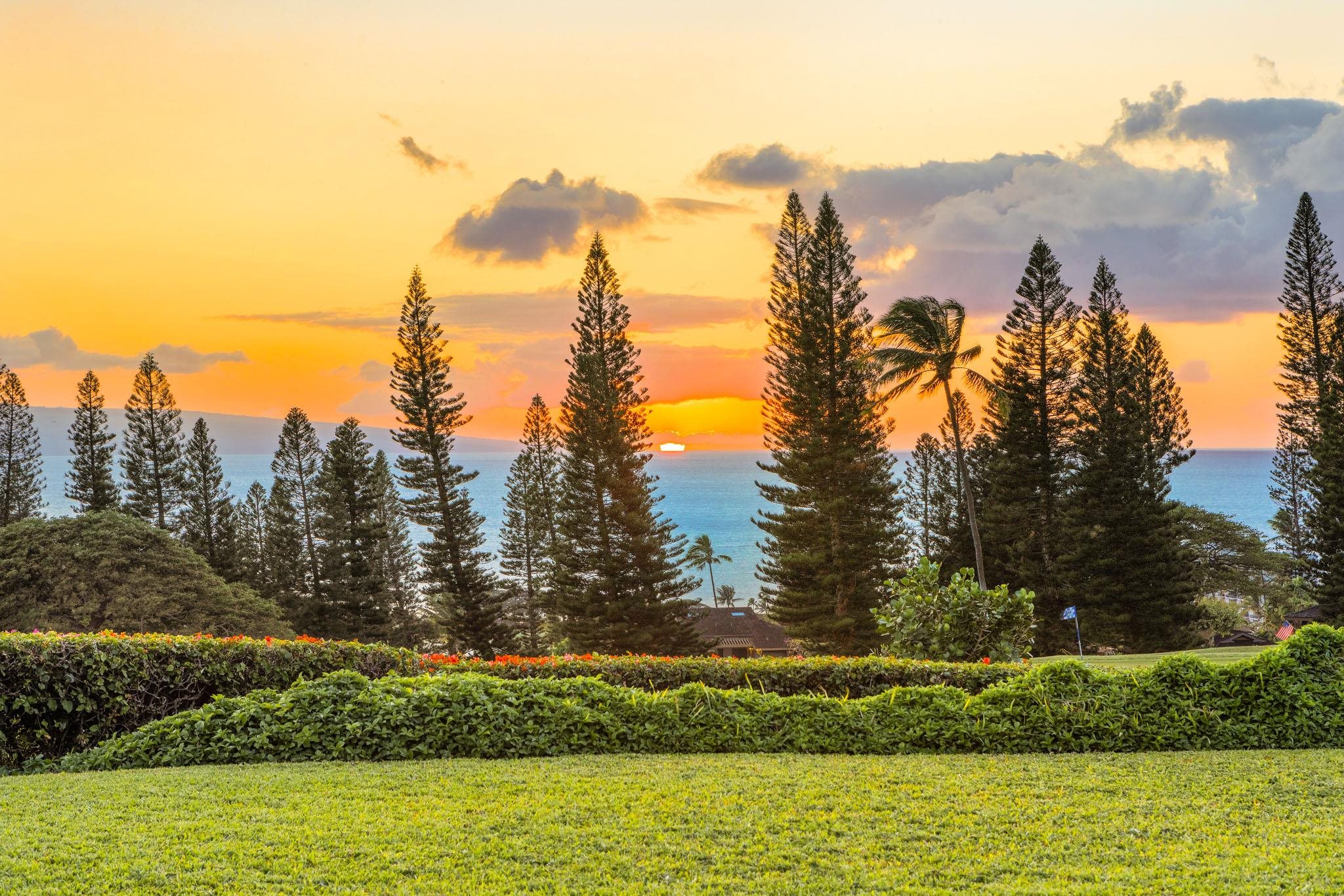 Maui Property Image