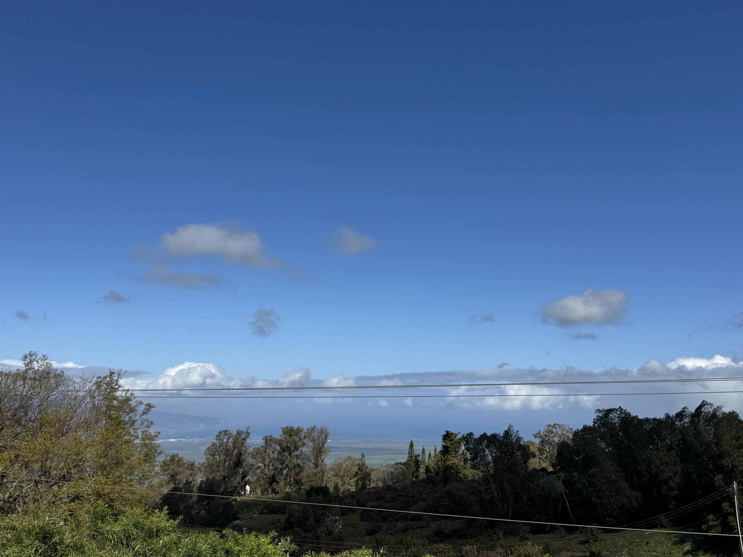 Photo 3 of  91 Waiakoa Rd, Kula/Ulupalakua/Kanaio, Maui, Hawaii