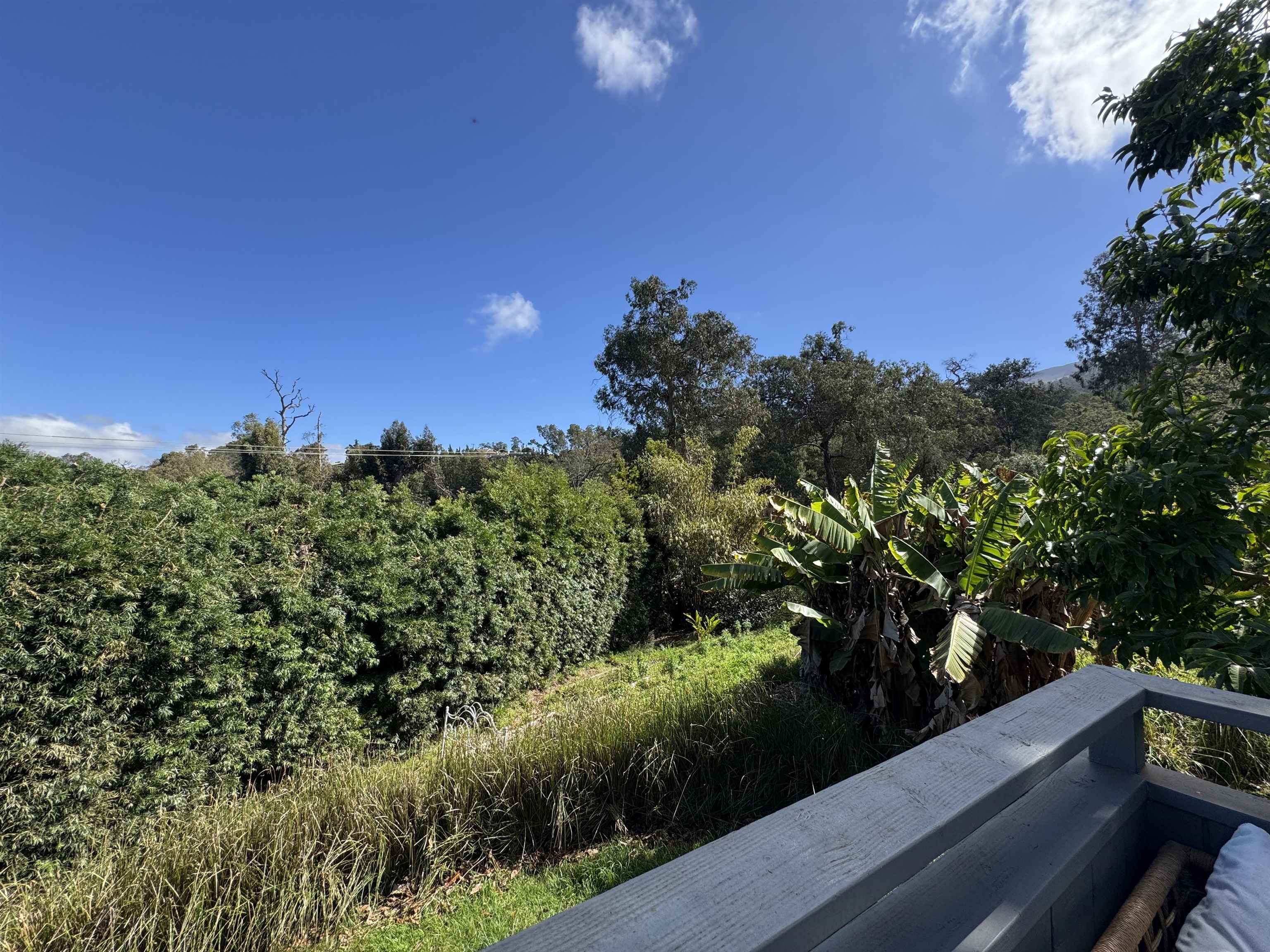 Photo 6 of  91 Waiakoa Rd, Kula/Ulupalakua/Kanaio, Maui, Hawaii