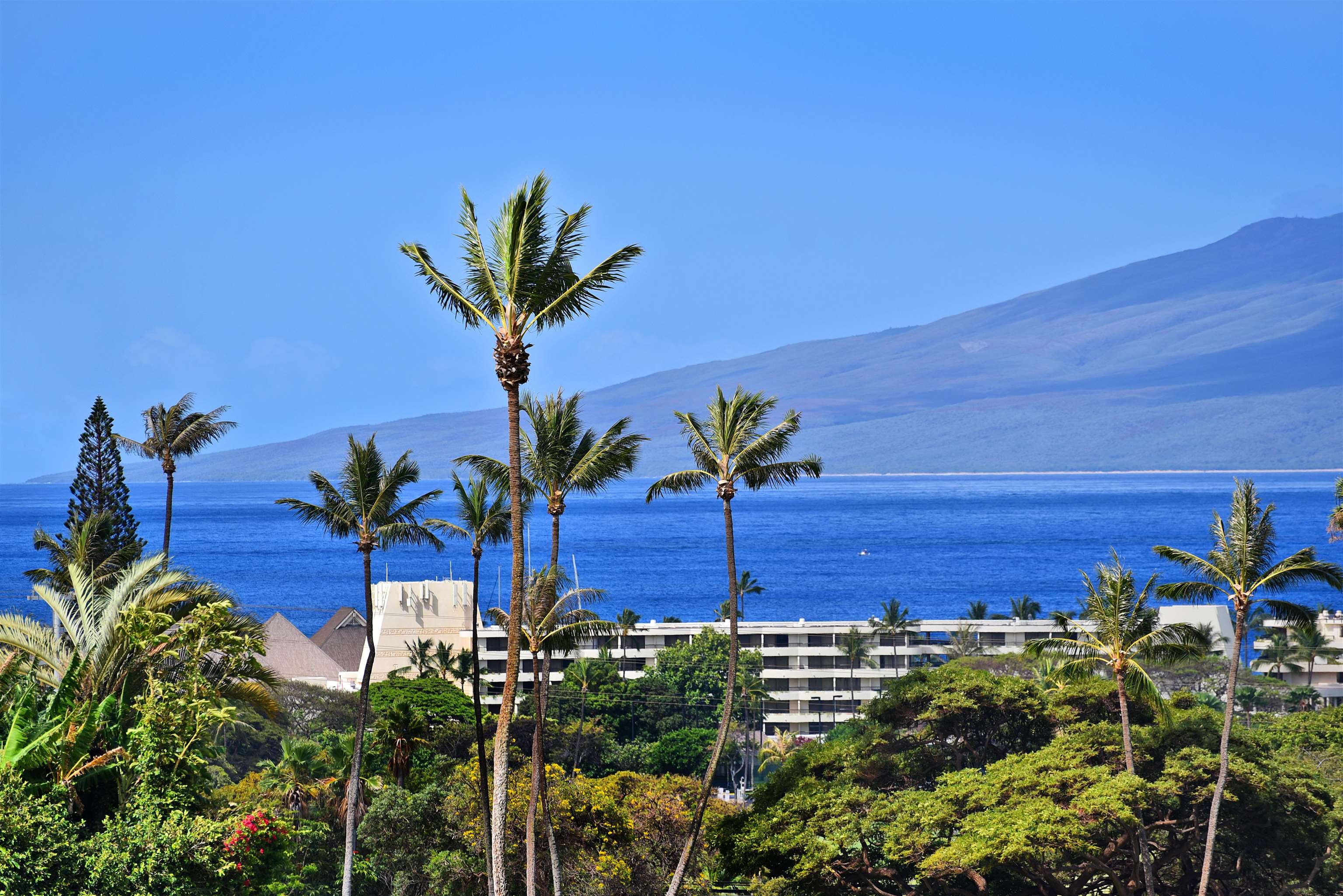 Maui Property Image