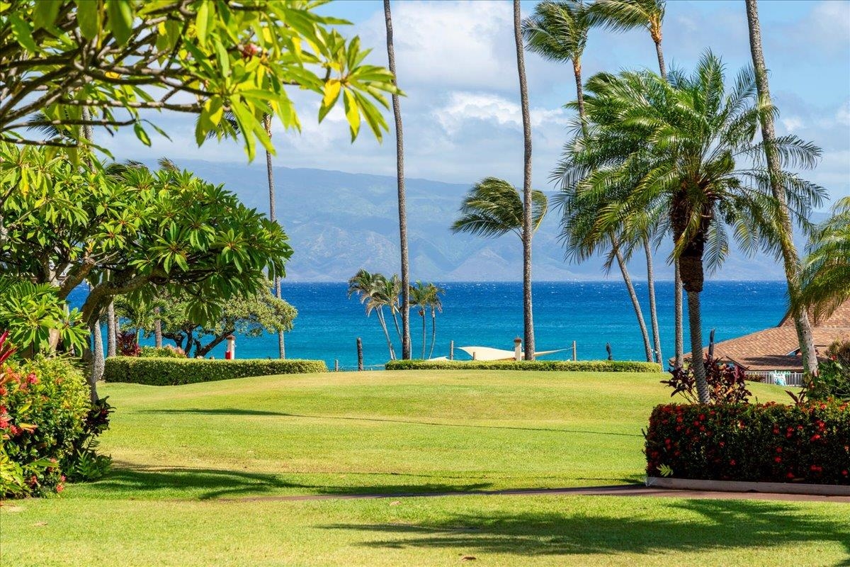 Maui Property Image