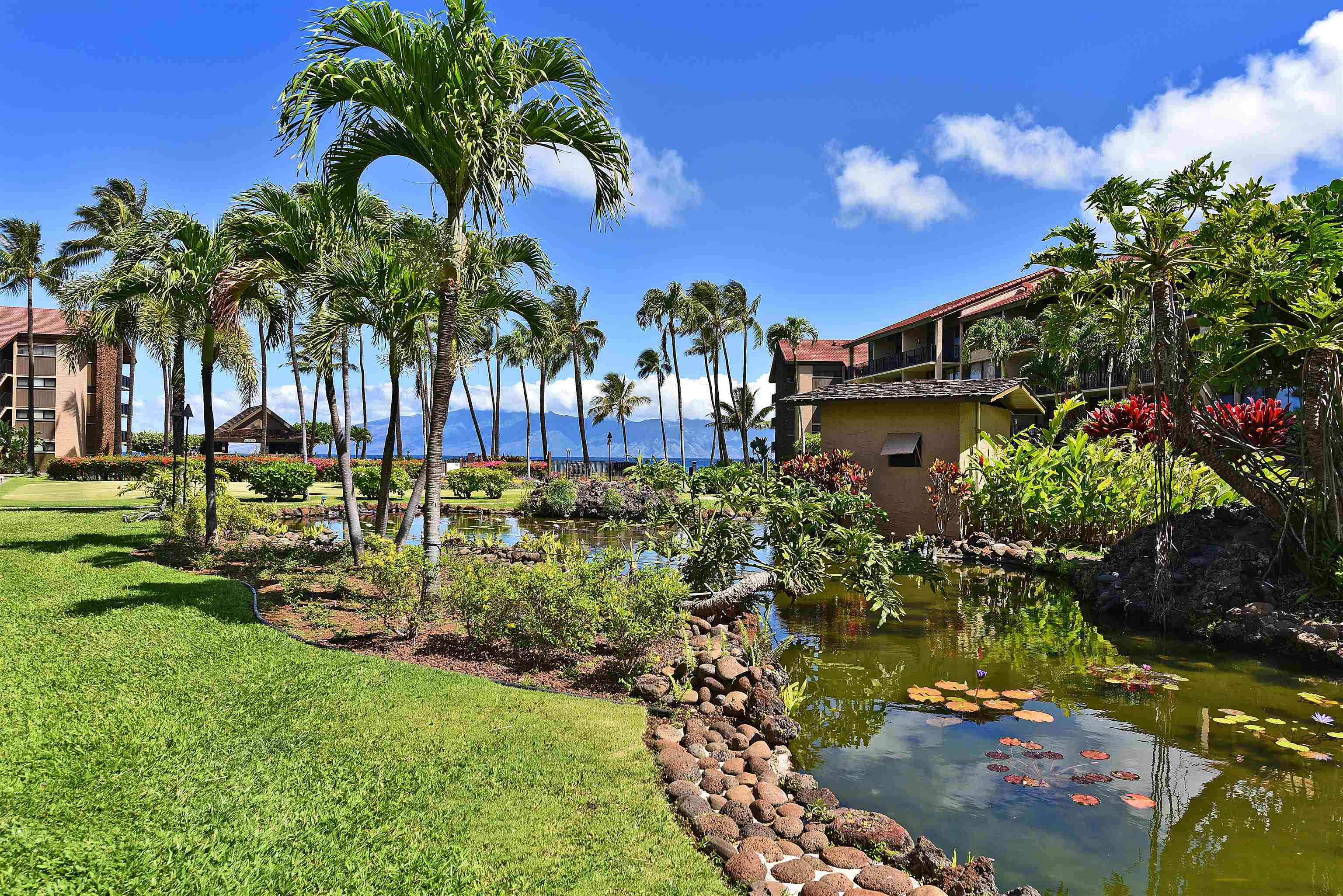 Maui Property Image