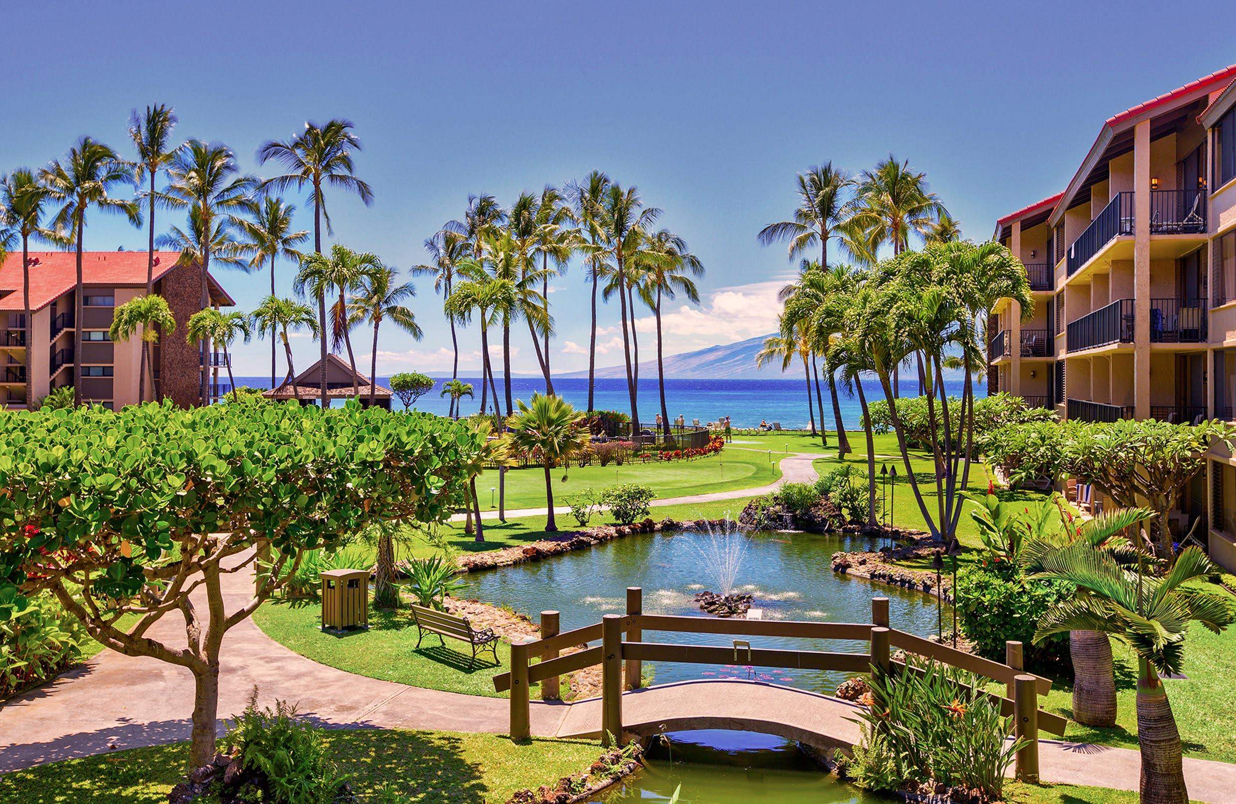 Maui Property Image