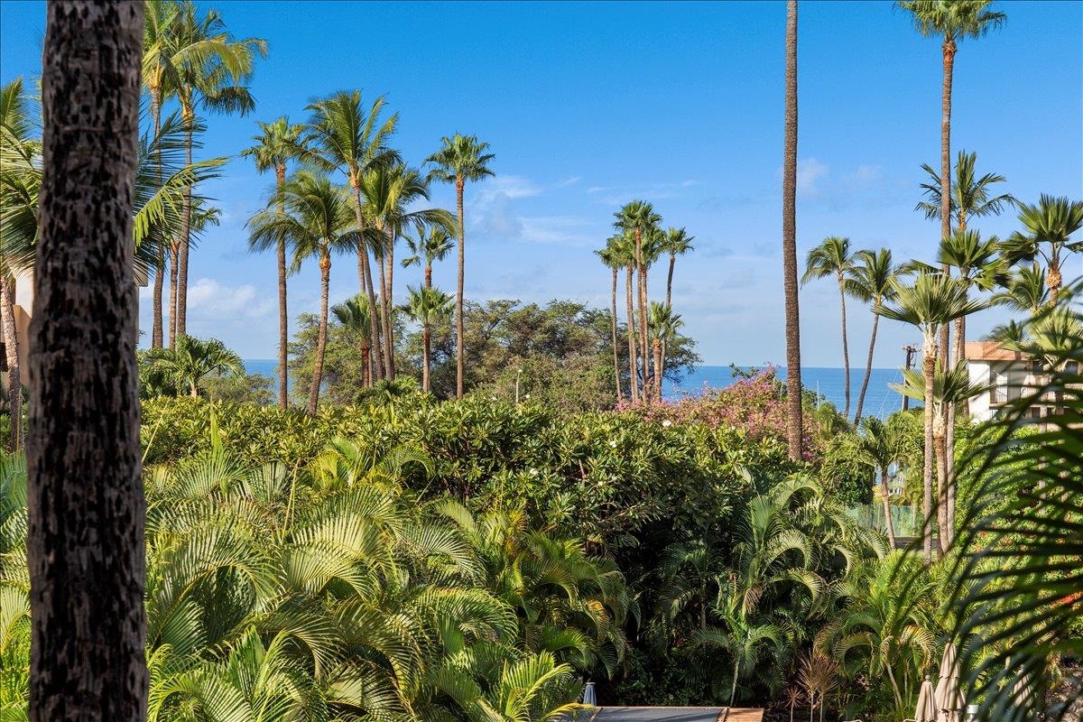 Maui Property Image