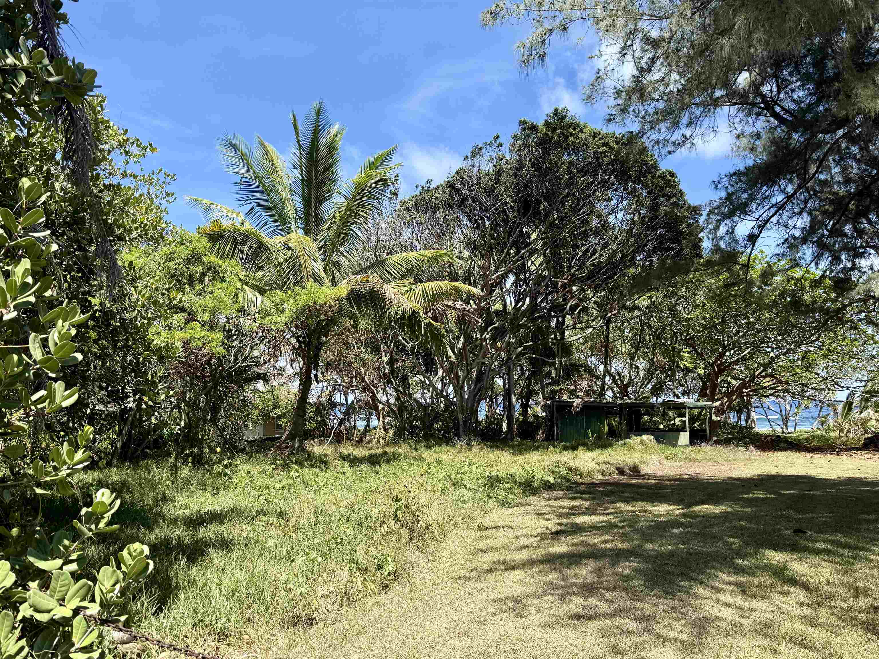Maui Property Image
