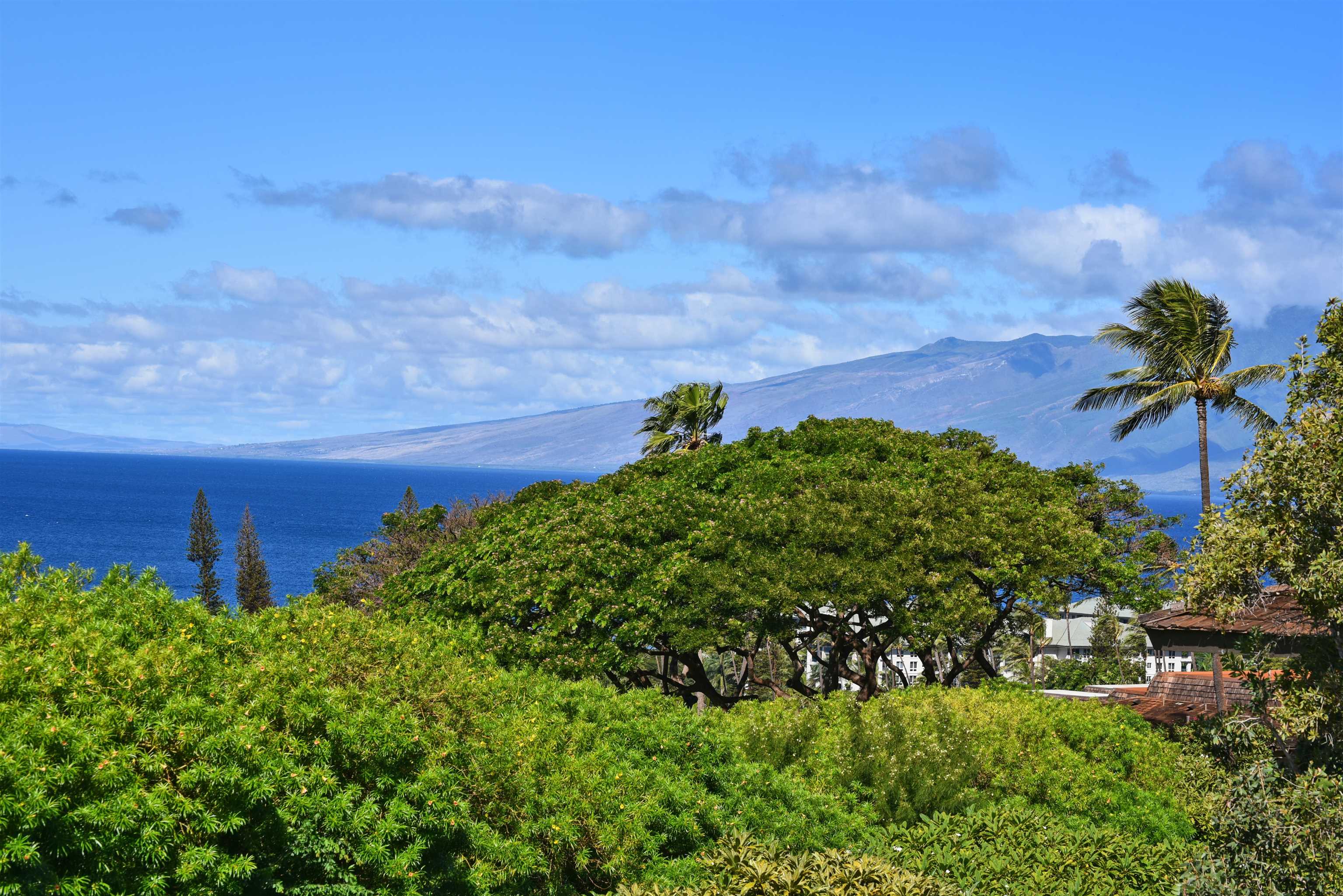 Maui Property Image