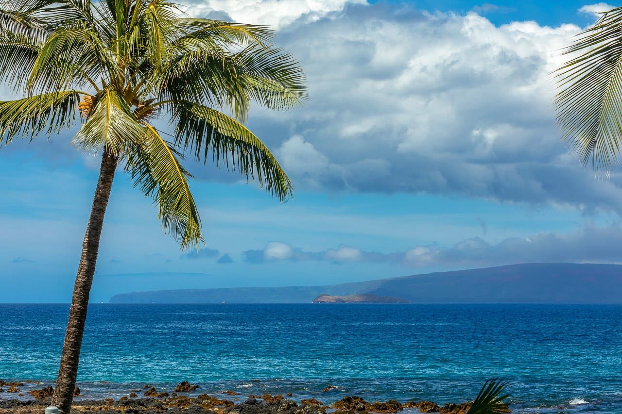 Maui Property Image