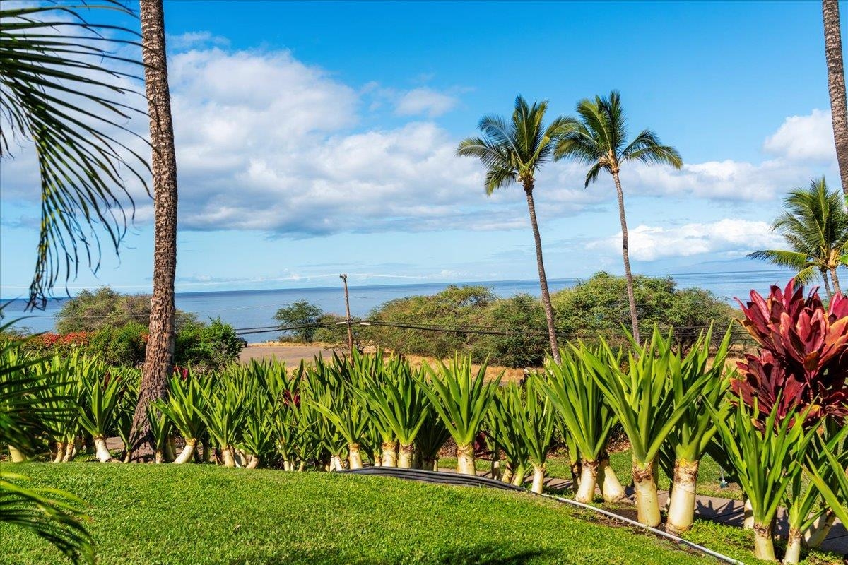 Maui Property Image
