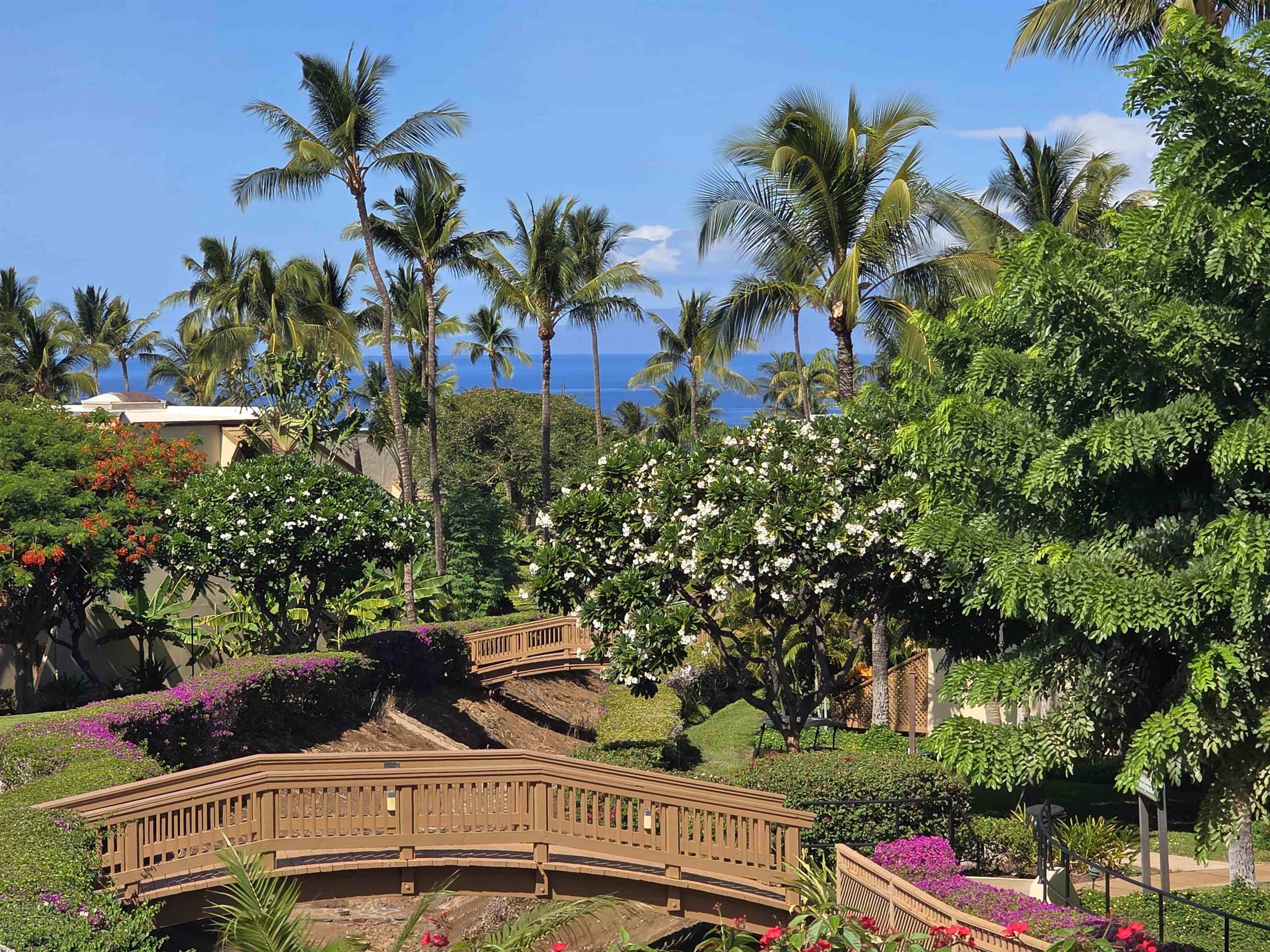 Maui Property Image