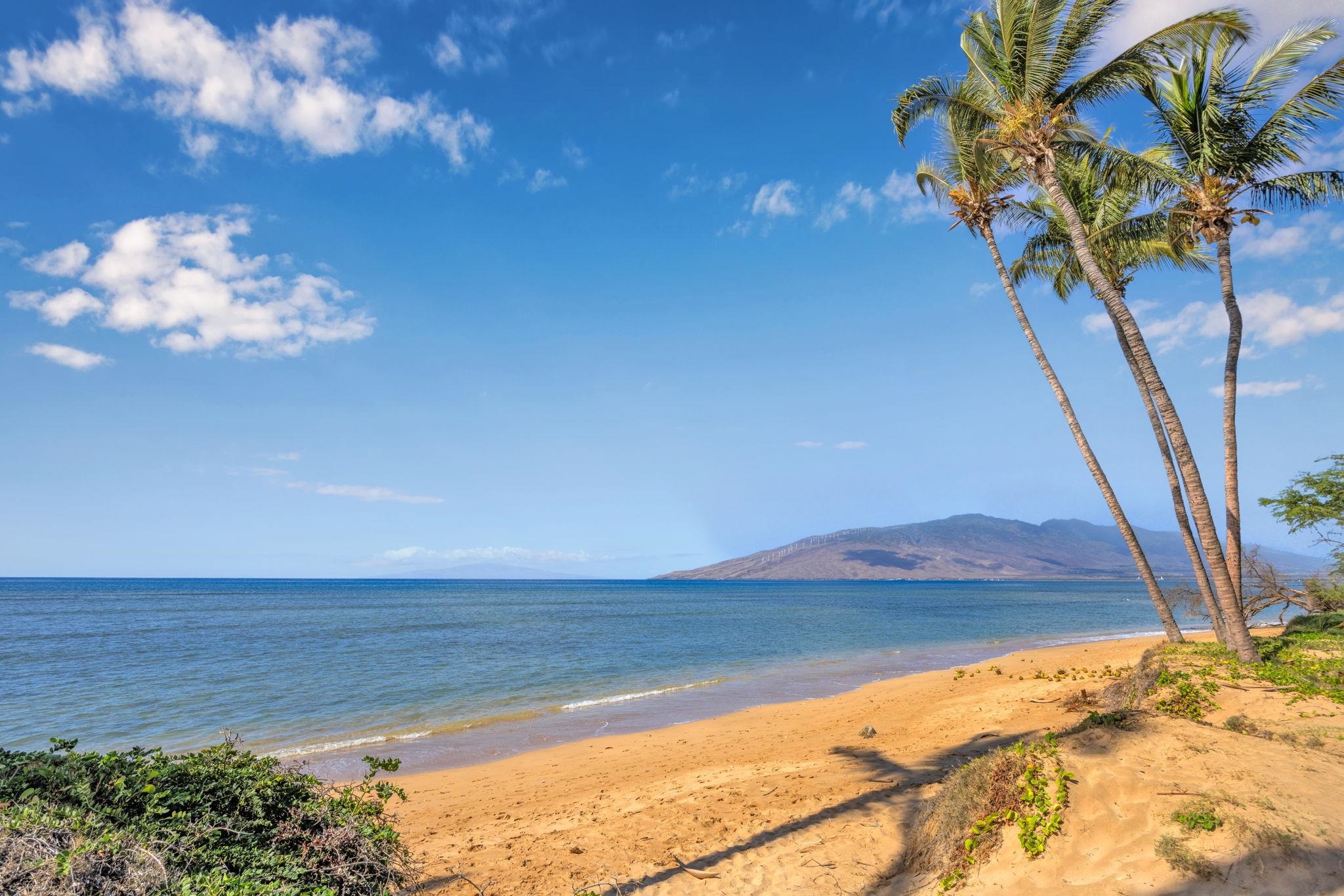 Maui Property Image
