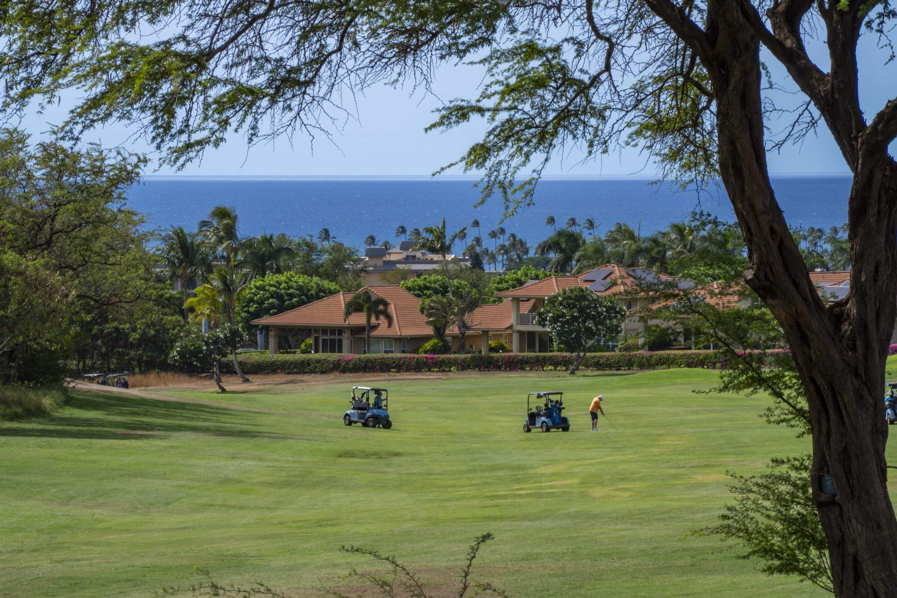 Maui Property Image