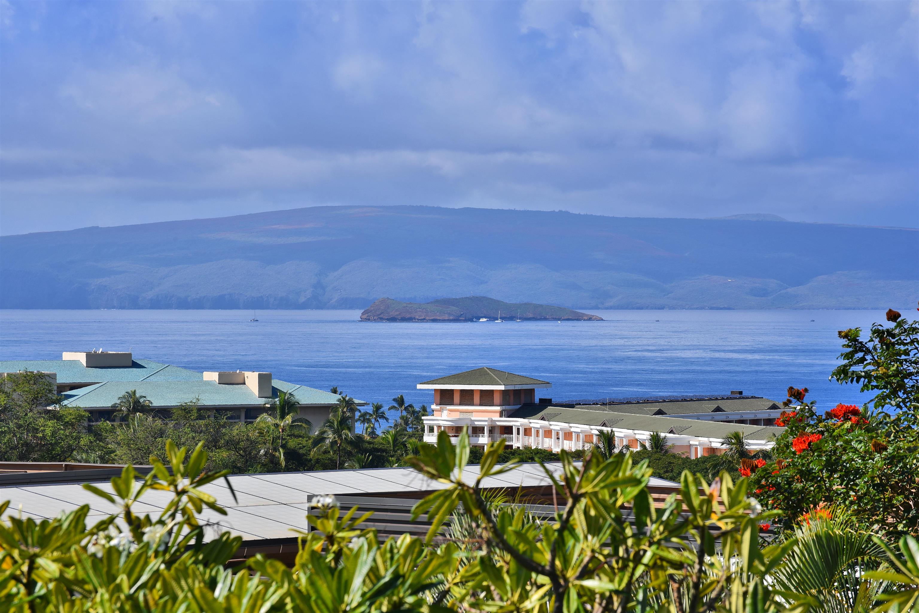 Maui Property Image